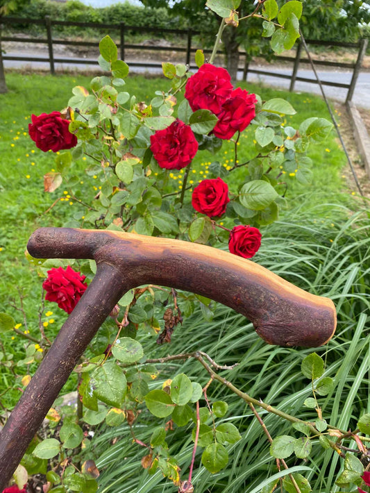 How to Display Your Irish Walking Stick at Home