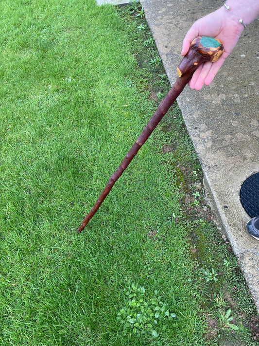 Rootball Blackthorn Stick | Irish Walking Sticks