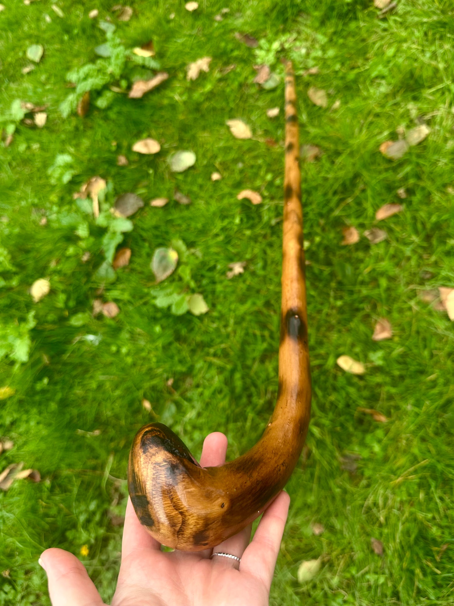 Hazel Walking Stick with Round L Handle and Black Pattern - 102 cm / 40 inches