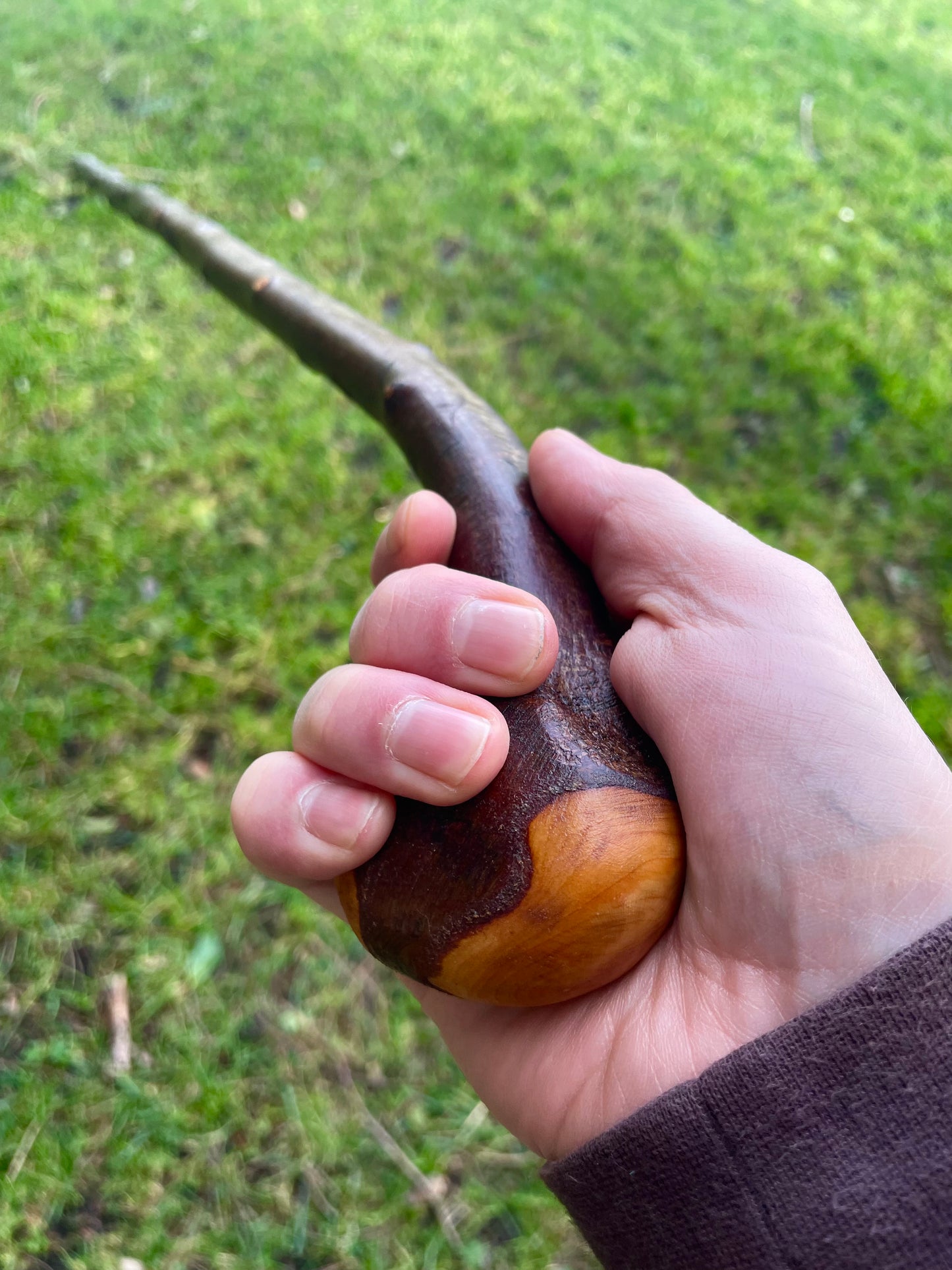 Knob & Curve Blackthorn | Irish Walking Sticks