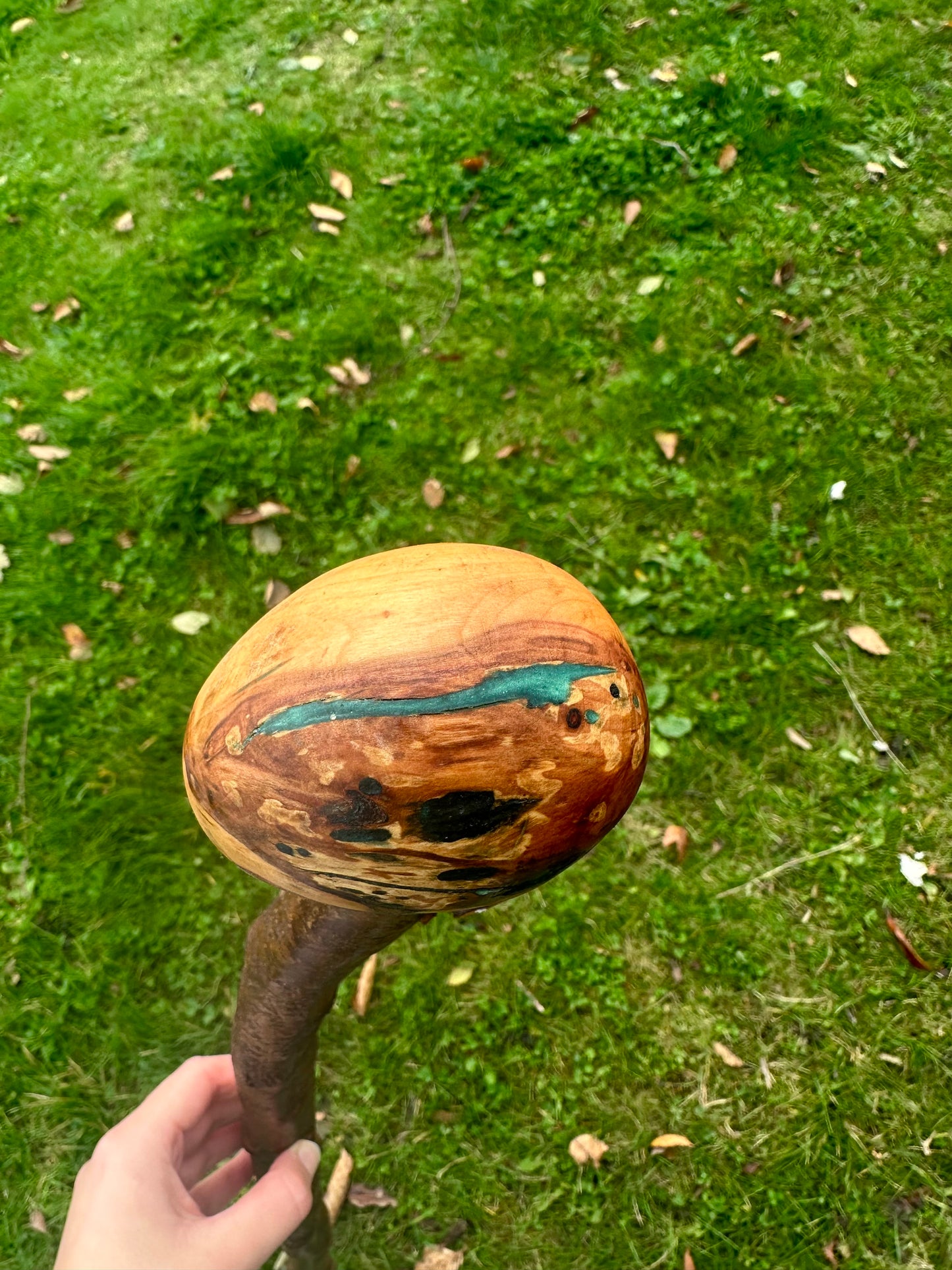 Blackthorn Walking Stick with Round Handle and Natural Dent - 100 cm / 39 inches