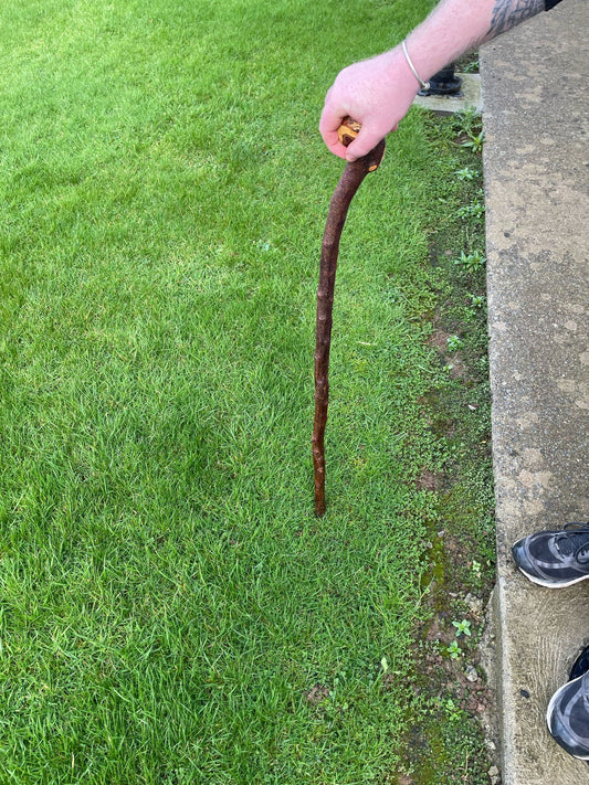Purple Heart Blackthorn | Irish Walking Sticks