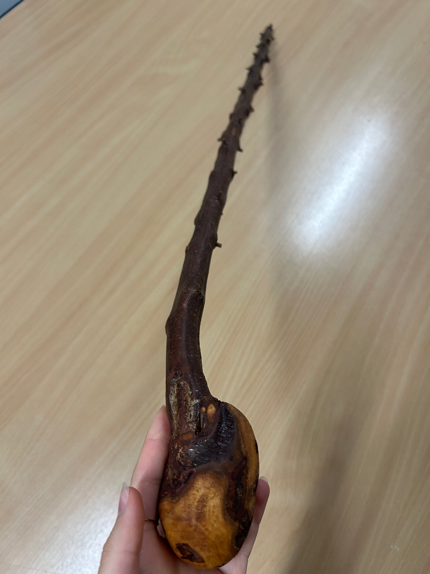 Very Thorny Blackthorn Walking Stick with Rough Head – 95cm