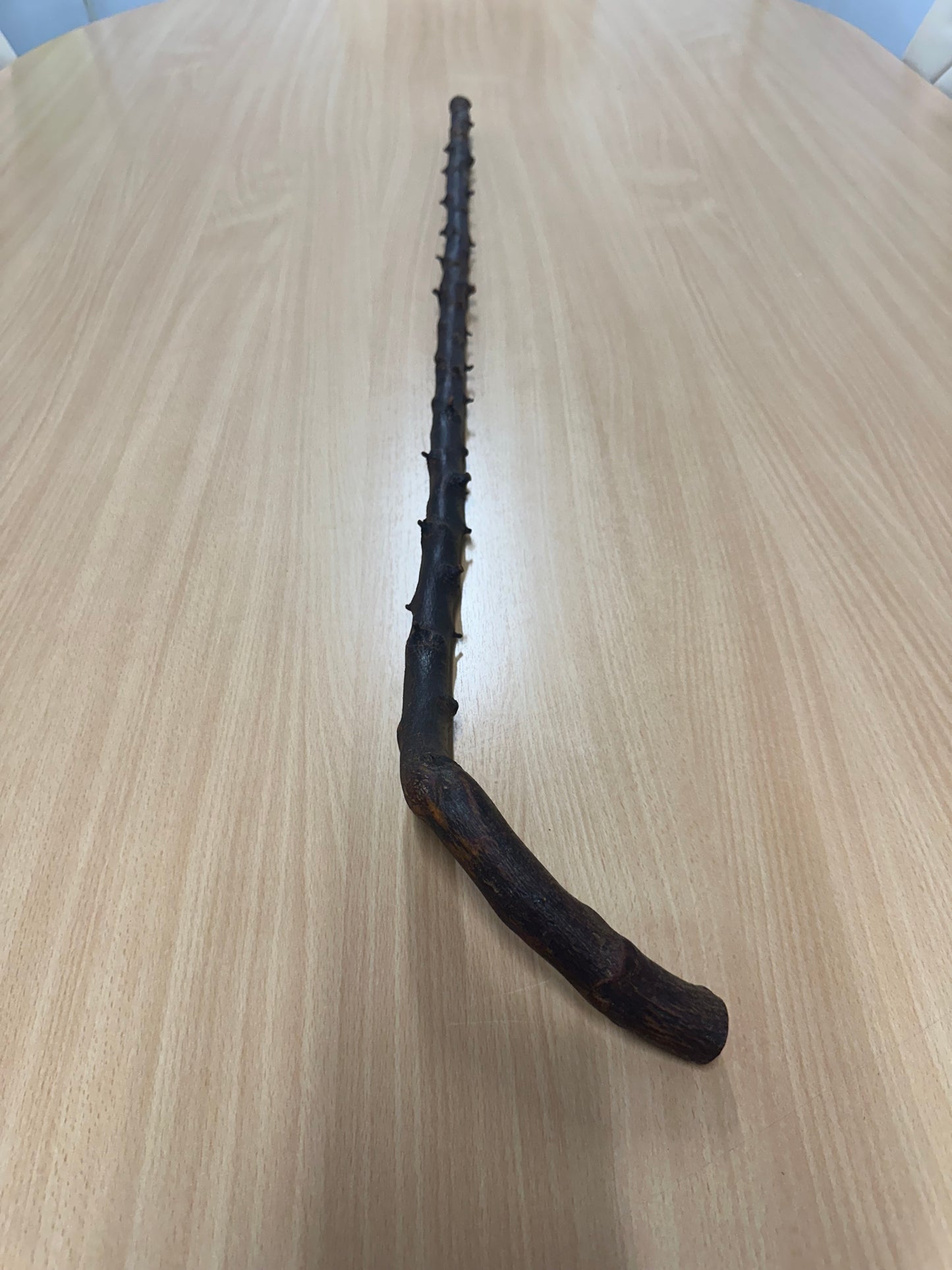 Light Thorny Blackthorn Stick with L Handle – 100cm