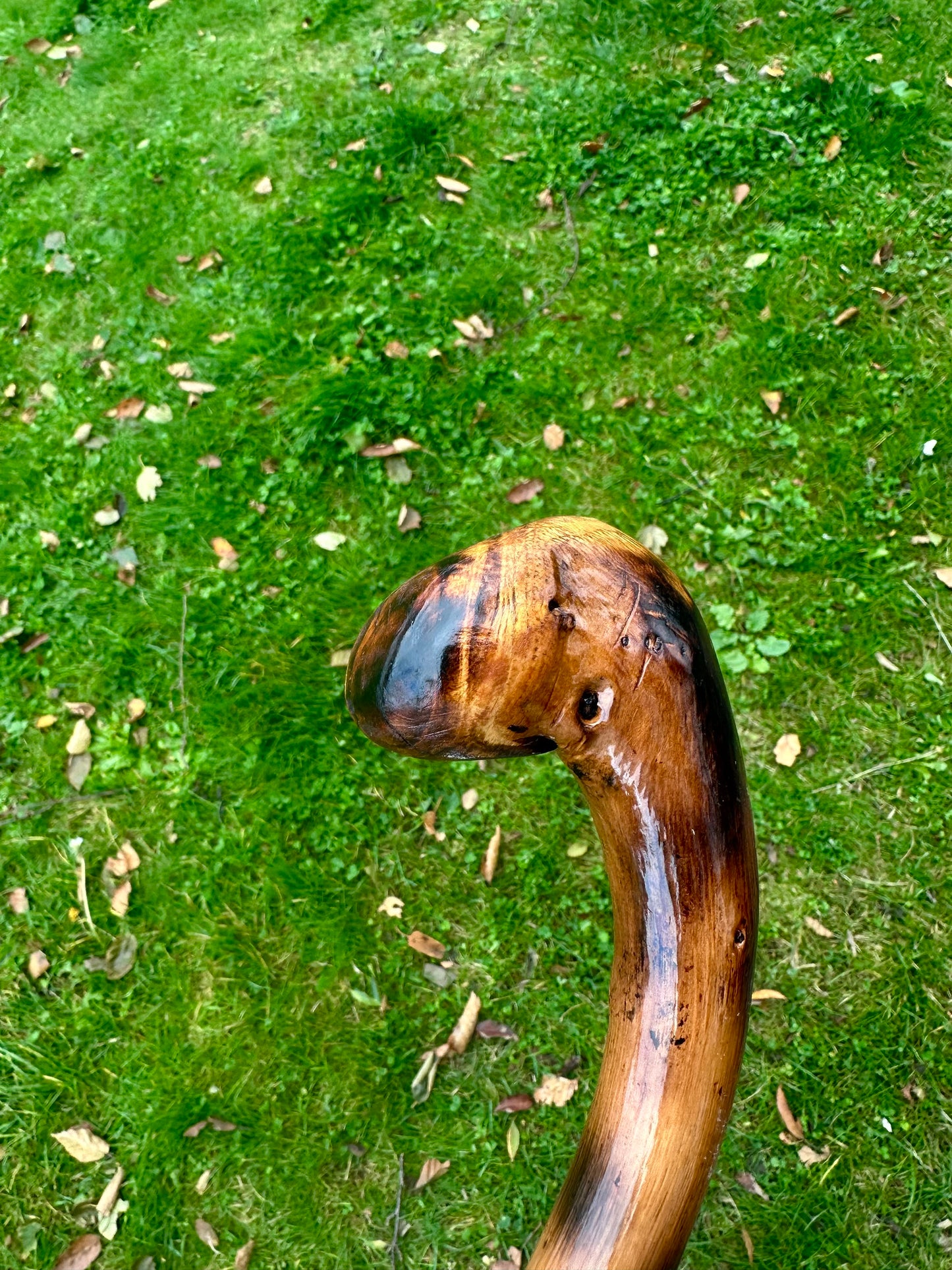 Hazel Walking Stick with Round L Handle and Black Pattern - 102 cm / 40 inches