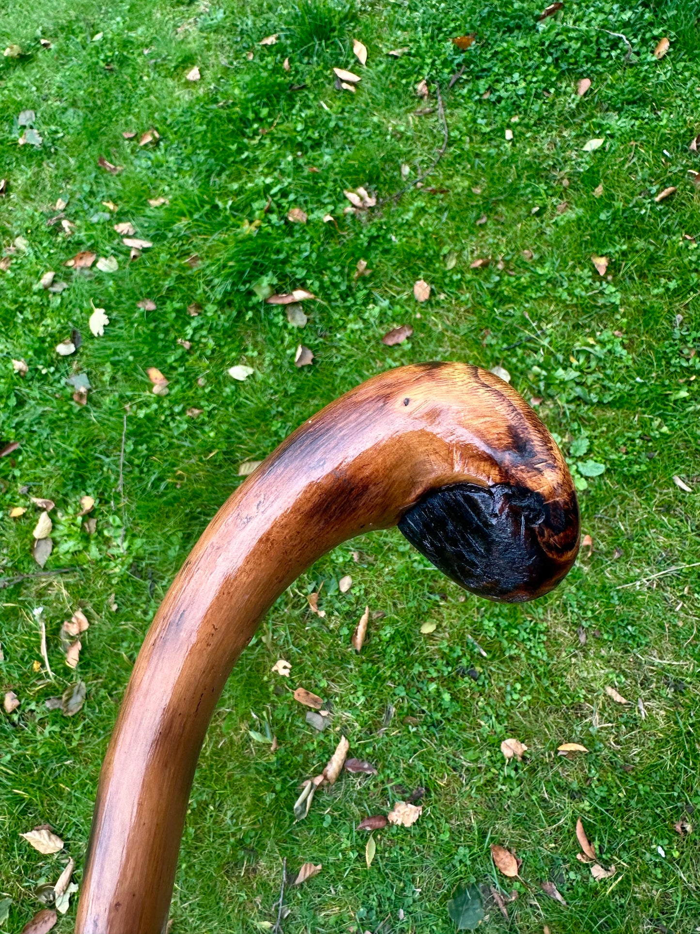 Hazel Walking Stick with Round L Handle and Black Pattern - 102 cm / 40 inches