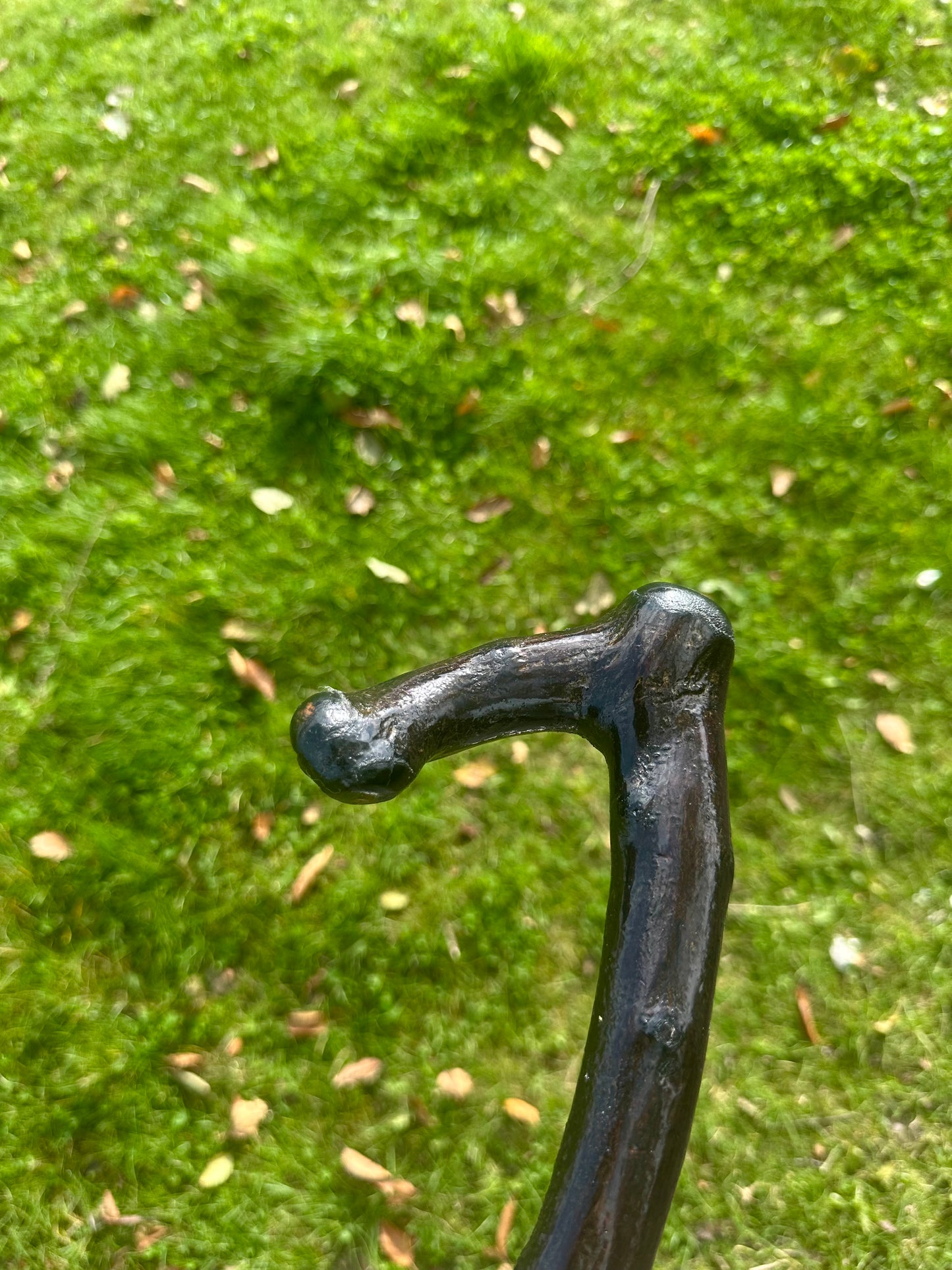 Blackthorn Walking Stick with L Handle – Black Painted - 95 cm / 37 inches