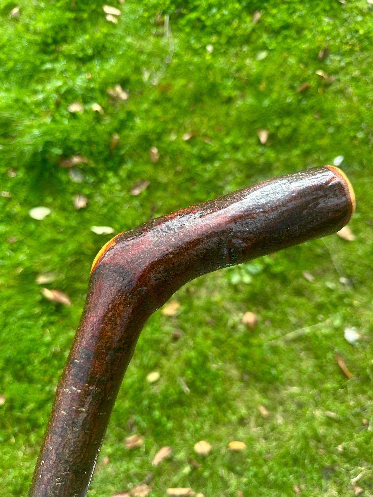 Blackthorn Walking Stick with L Handle - 110 cm / 43 inches