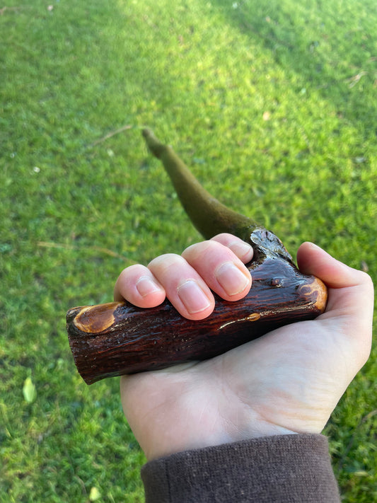 L Handle Blackthorn #1 | Irish Walking Sticks