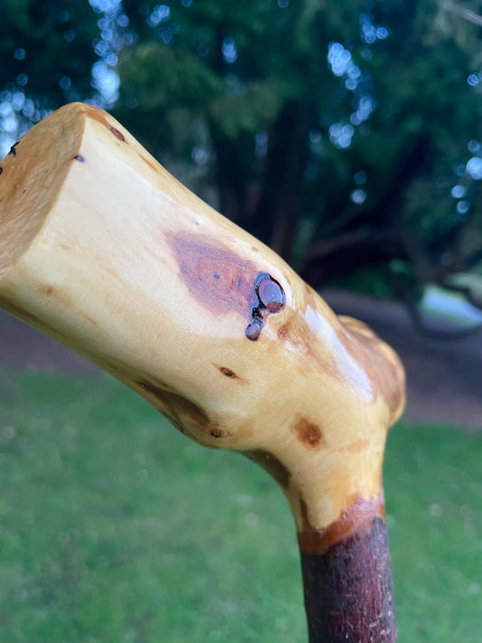 Comfort Handle Stick #1 | Irish Walking Sticks