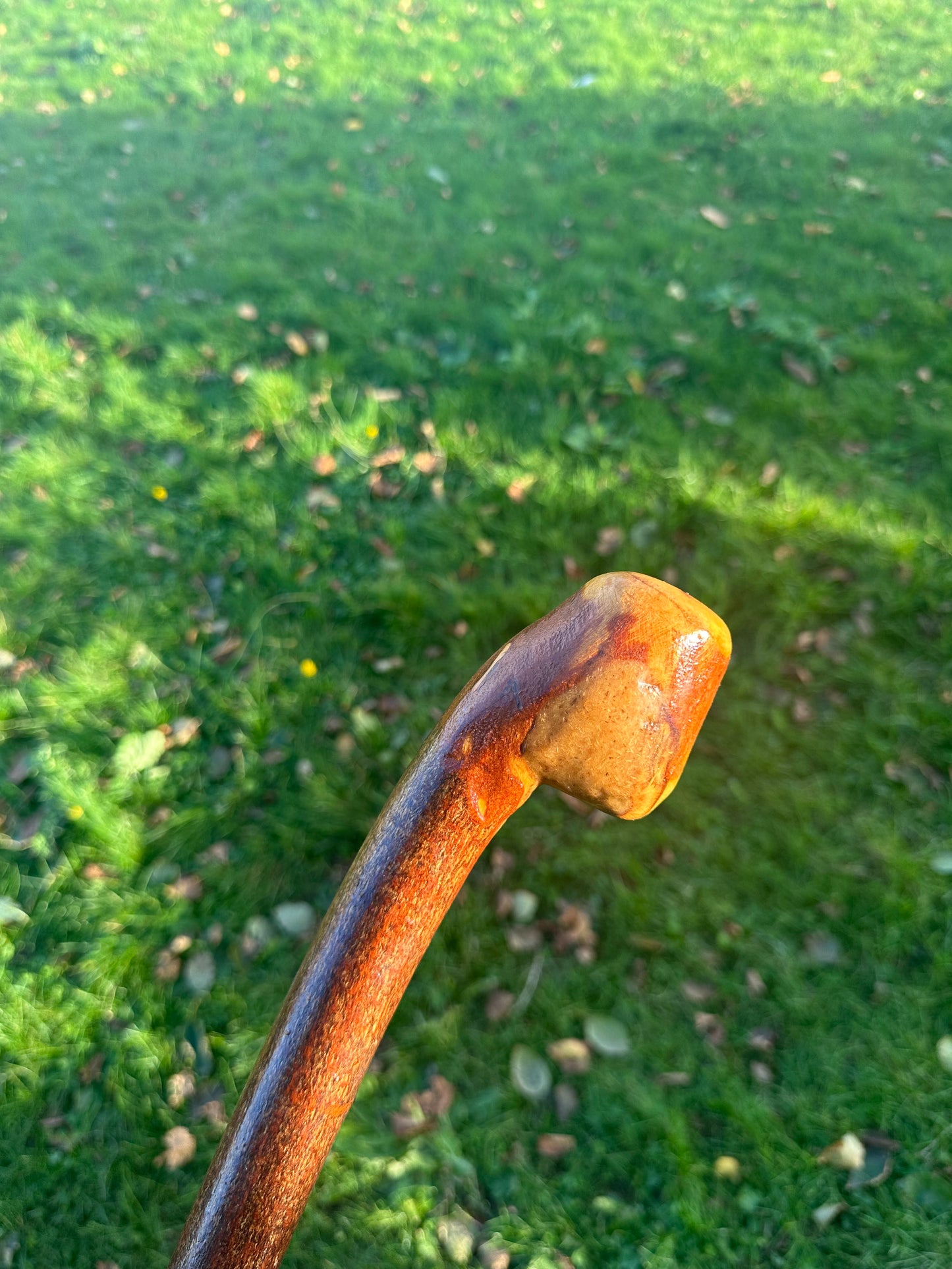 Blackthorn Walking Stick with Grip Handle – 95cm