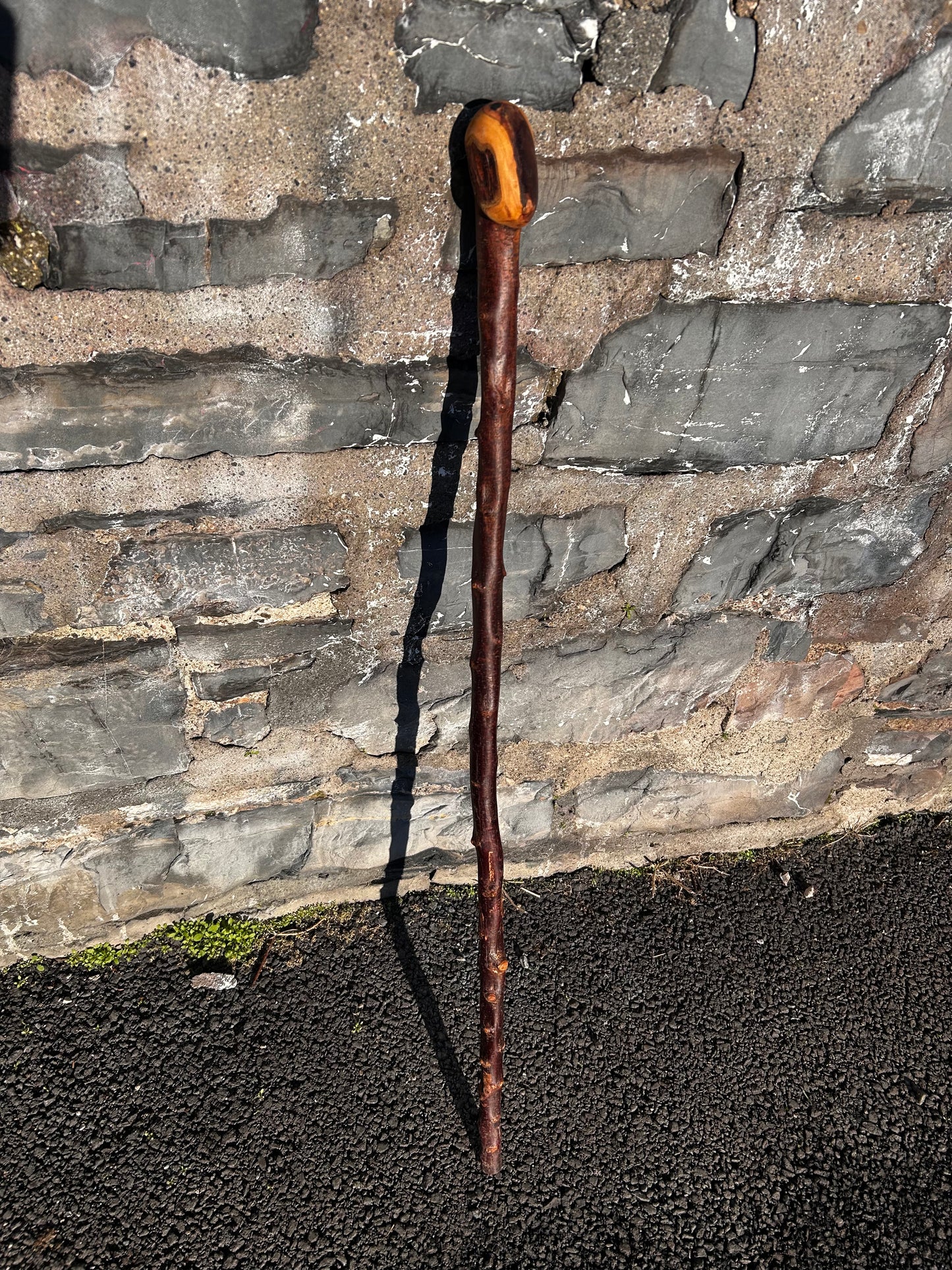Blackthorn Shillelagh with Large Curved Handle – 100 cm (39”)