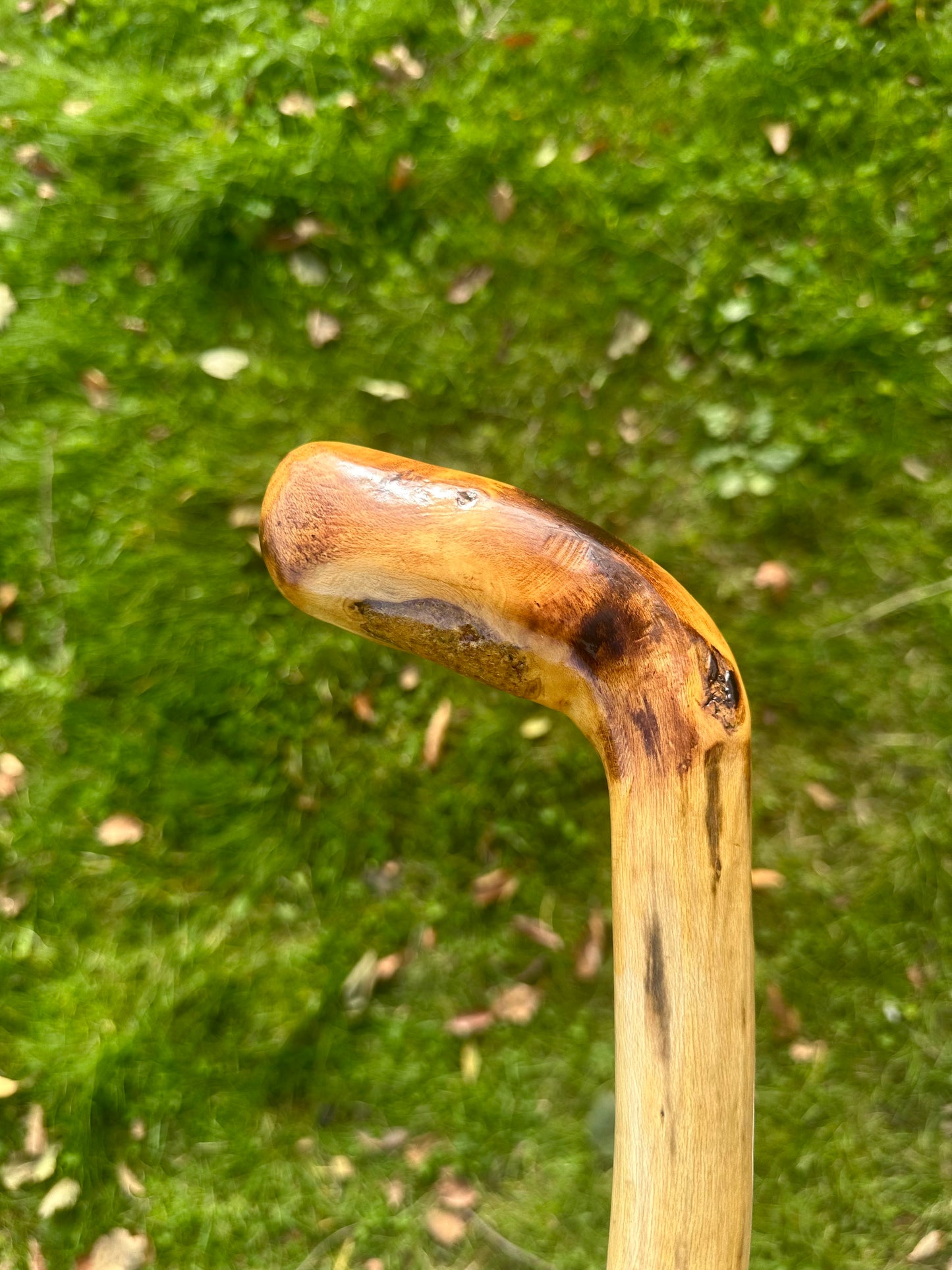 Hazel Walking Stick with L Handle - 105 cm / 41 inches