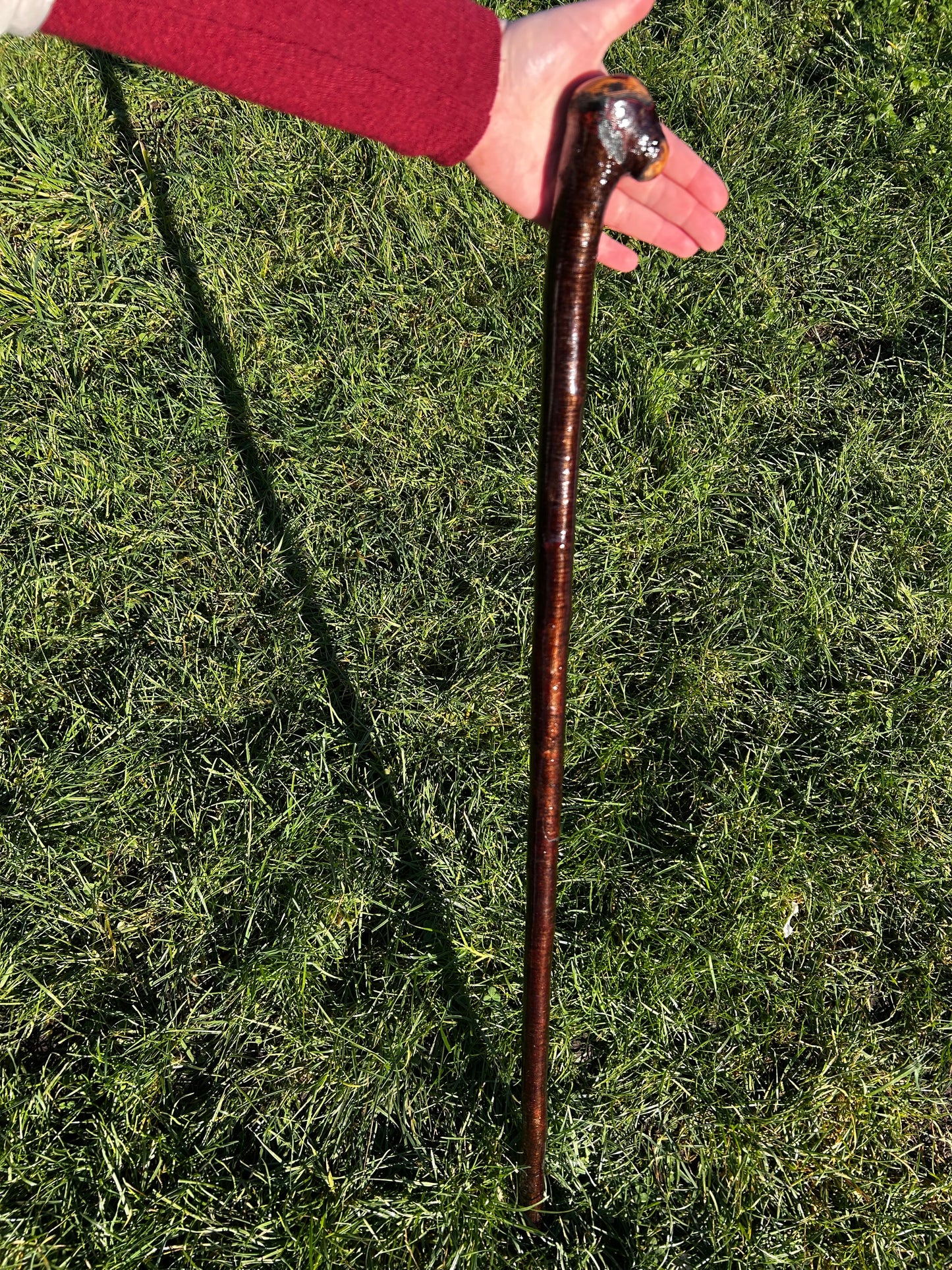 Blackthorn Shillelagh with Small Handle - 99 cm / 39 inches