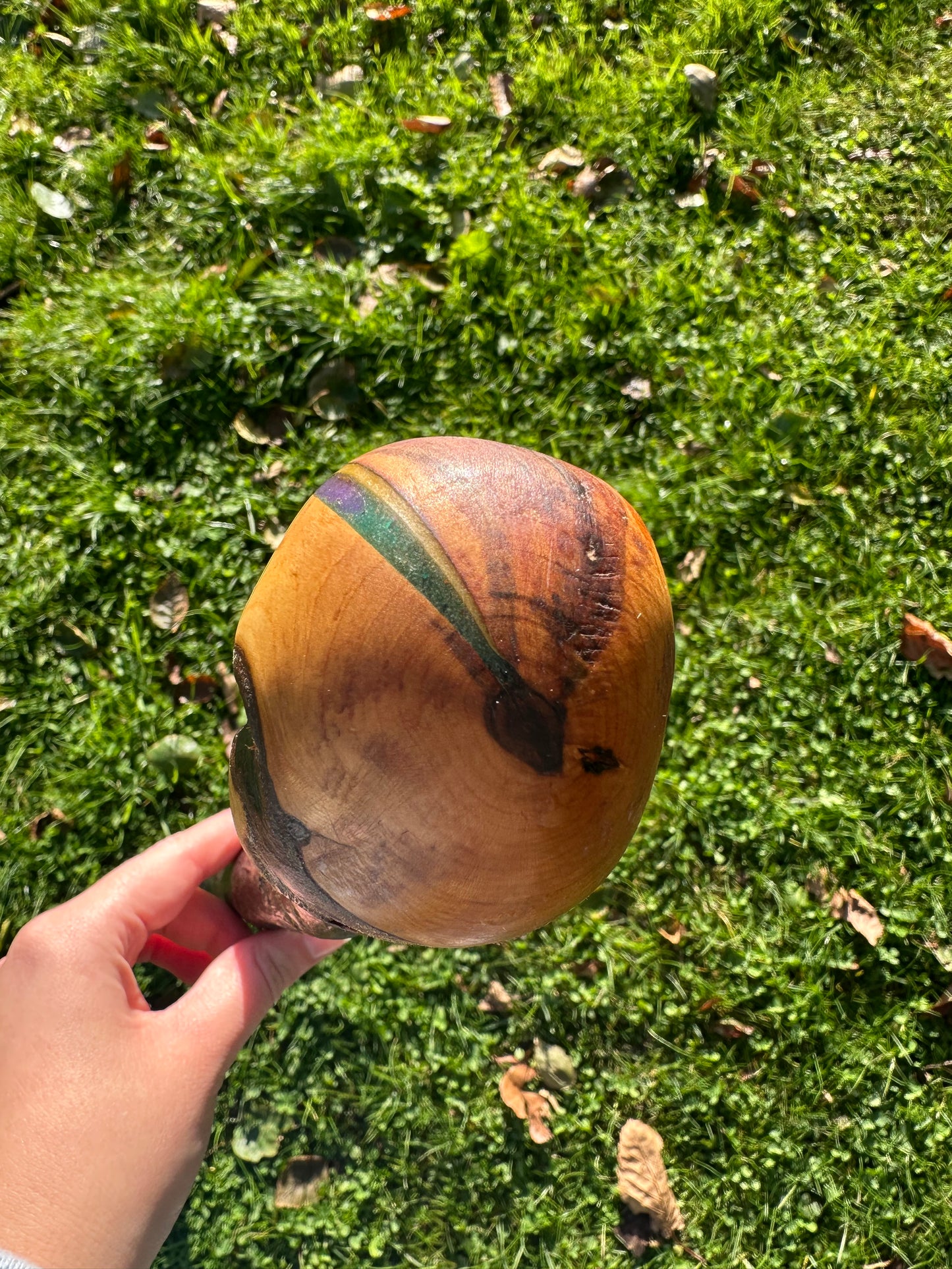 Blackthorn Walking Stick with Round Handle - 85 cm / 33.5 inches