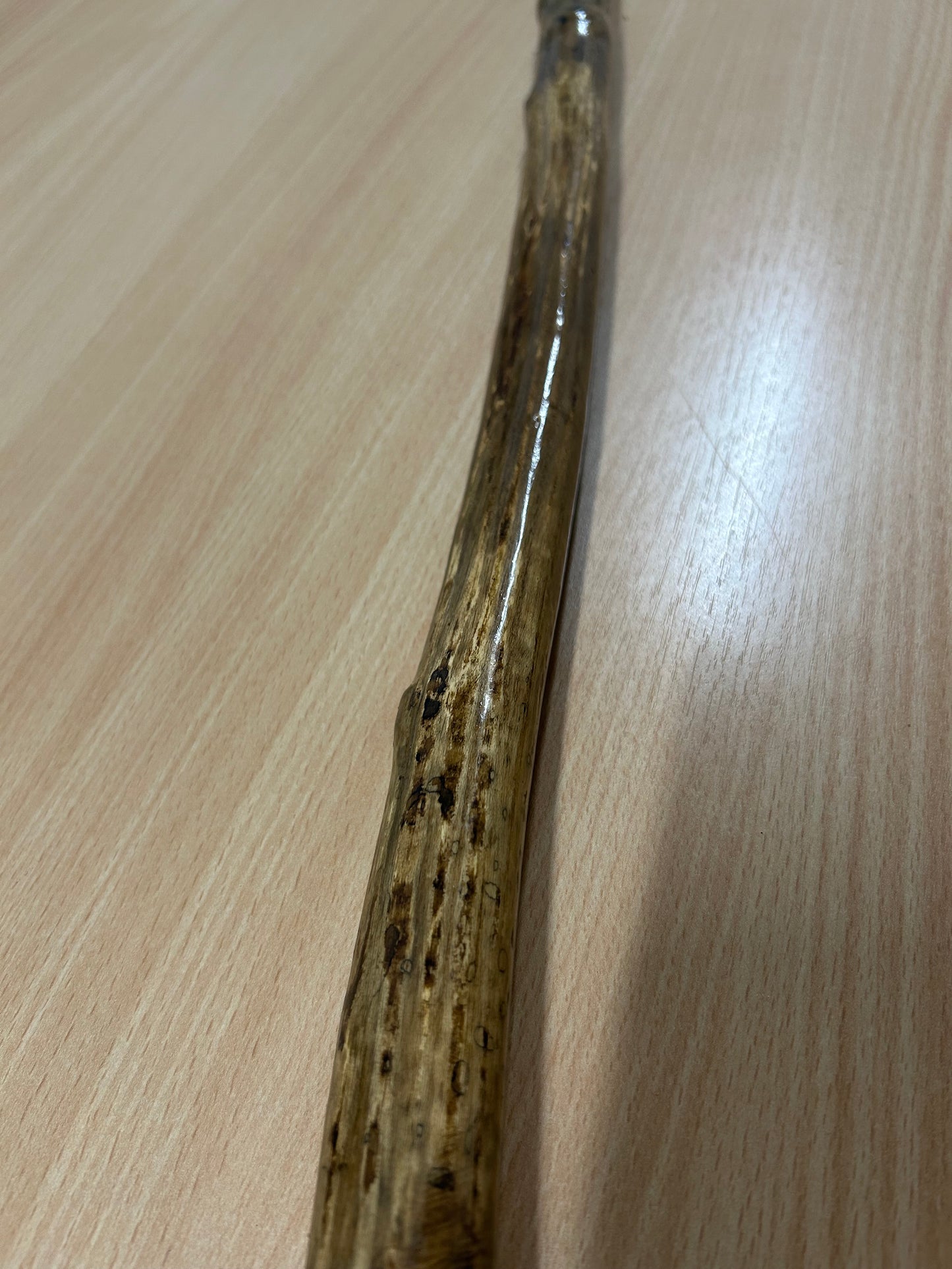 Hazel Walking Stick with Rugged Shaft & Dark Top – 102cm