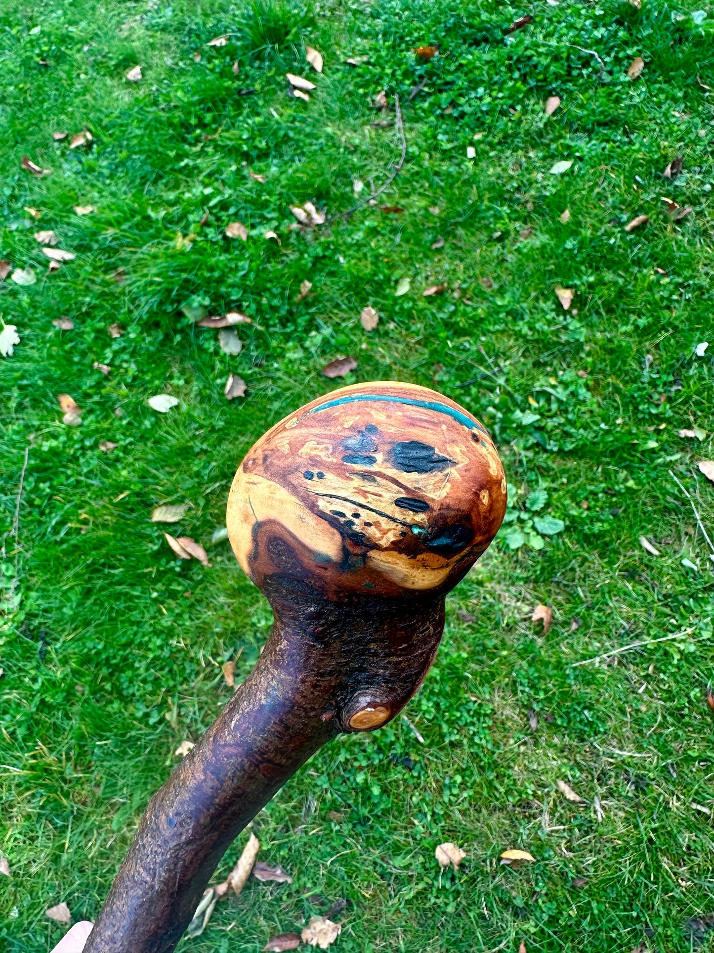 Blackthorn Walking Stick with Round Handle and Natural Dent - 100 cm / 39 inches