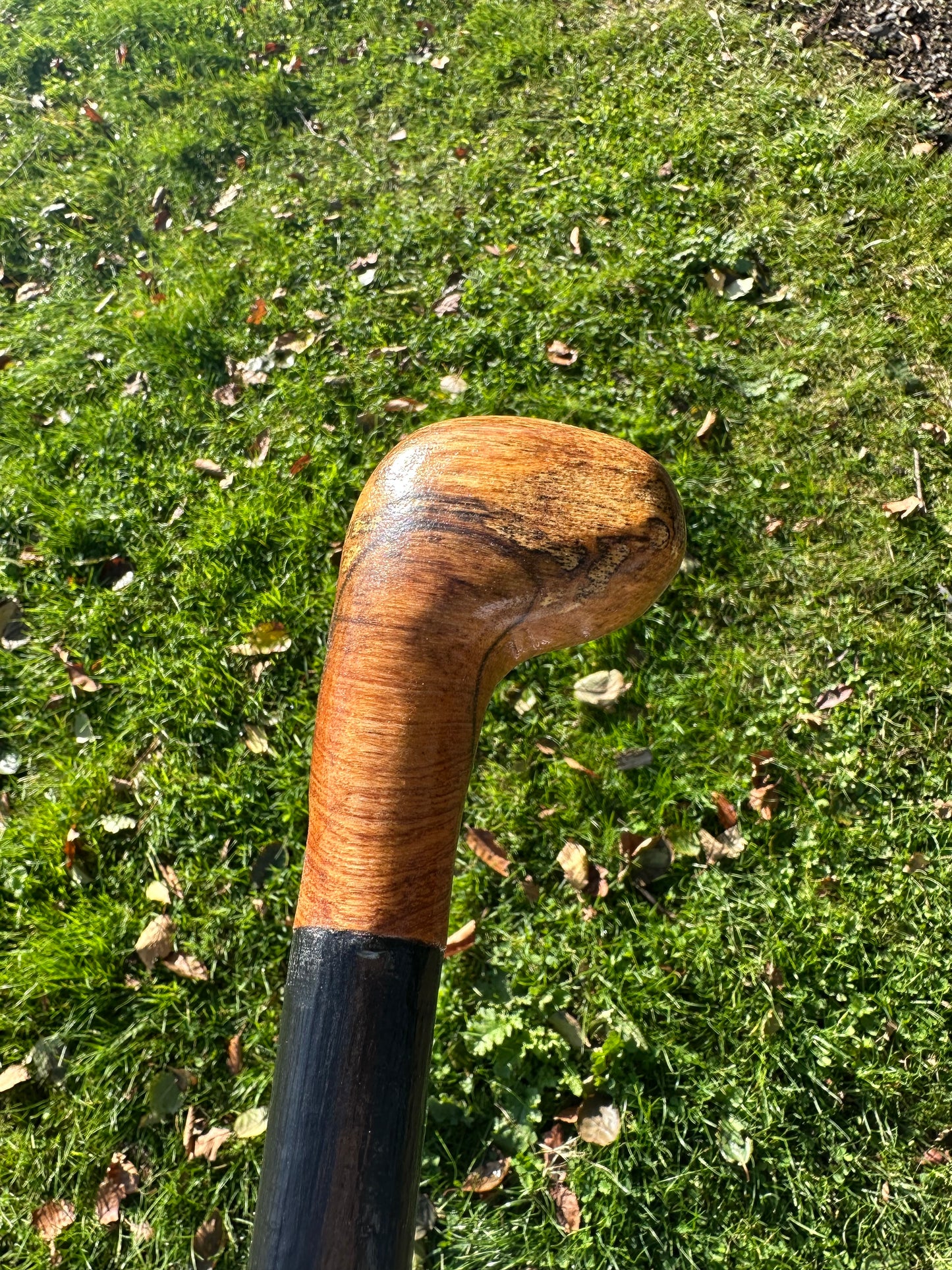 Blackthorn Walking Stick with Round Handle - 91 cm / 35.8 inches