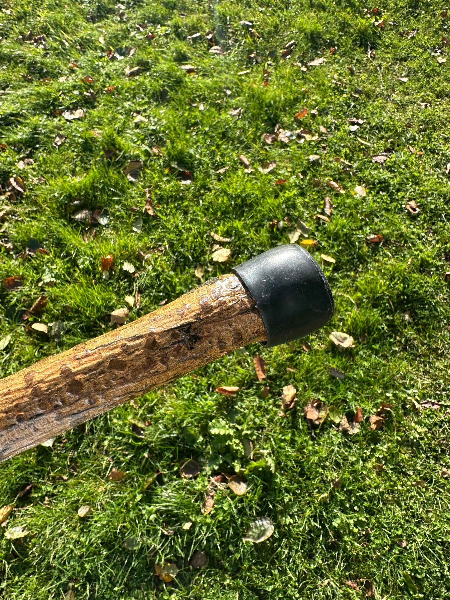 Hazel Walking Stick with Round Handle - 98 cm / 38.6 inches