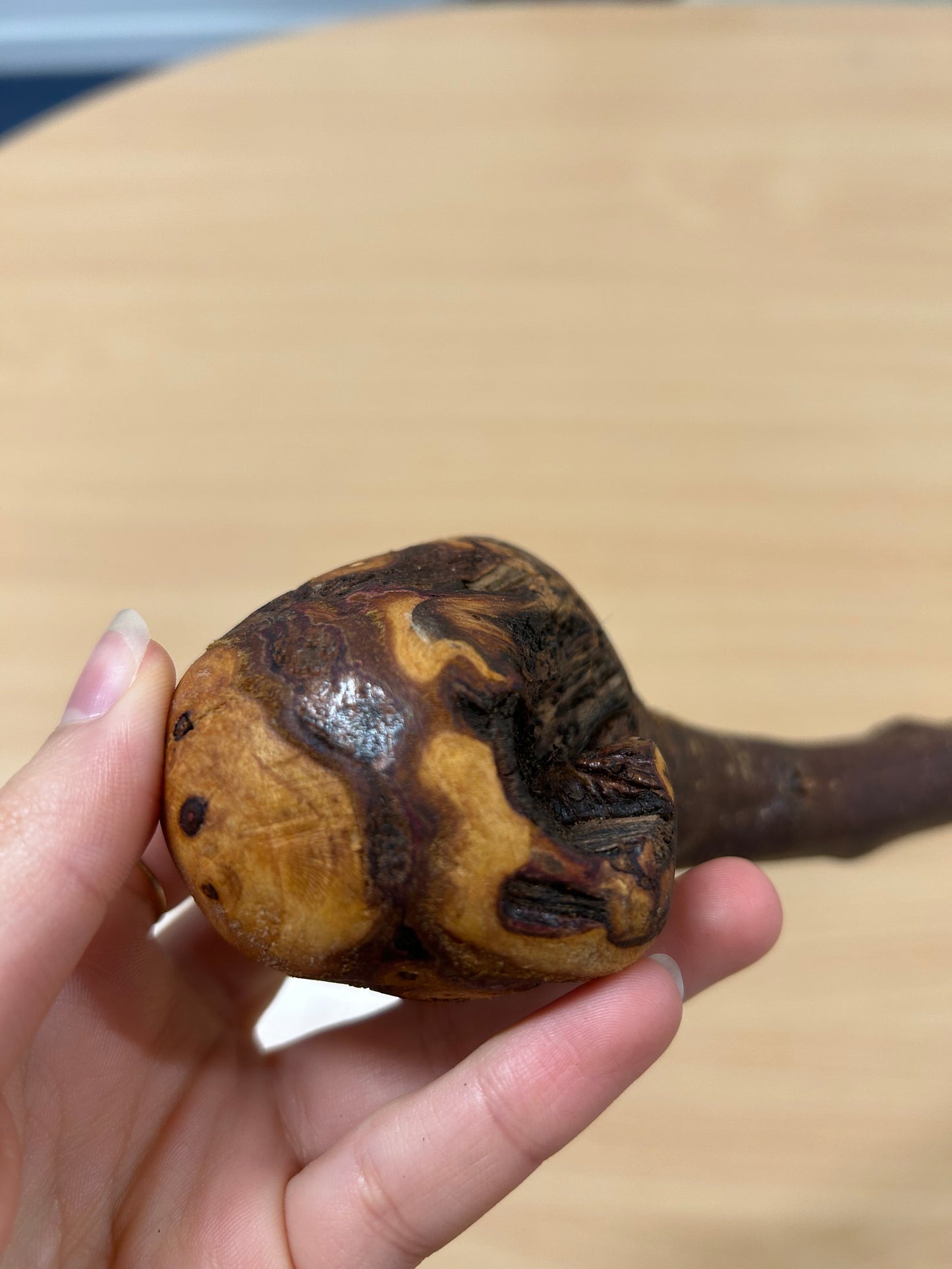 Very Thorny Blackthorn Walking Stick with Rough Head – 95cm