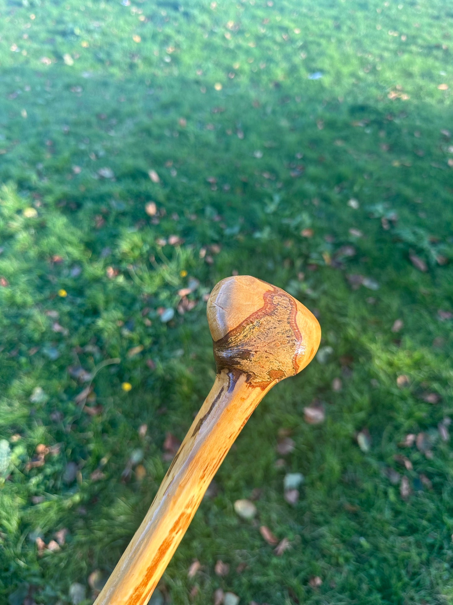 Hazel Walking Stick with Round Handle – 98cm