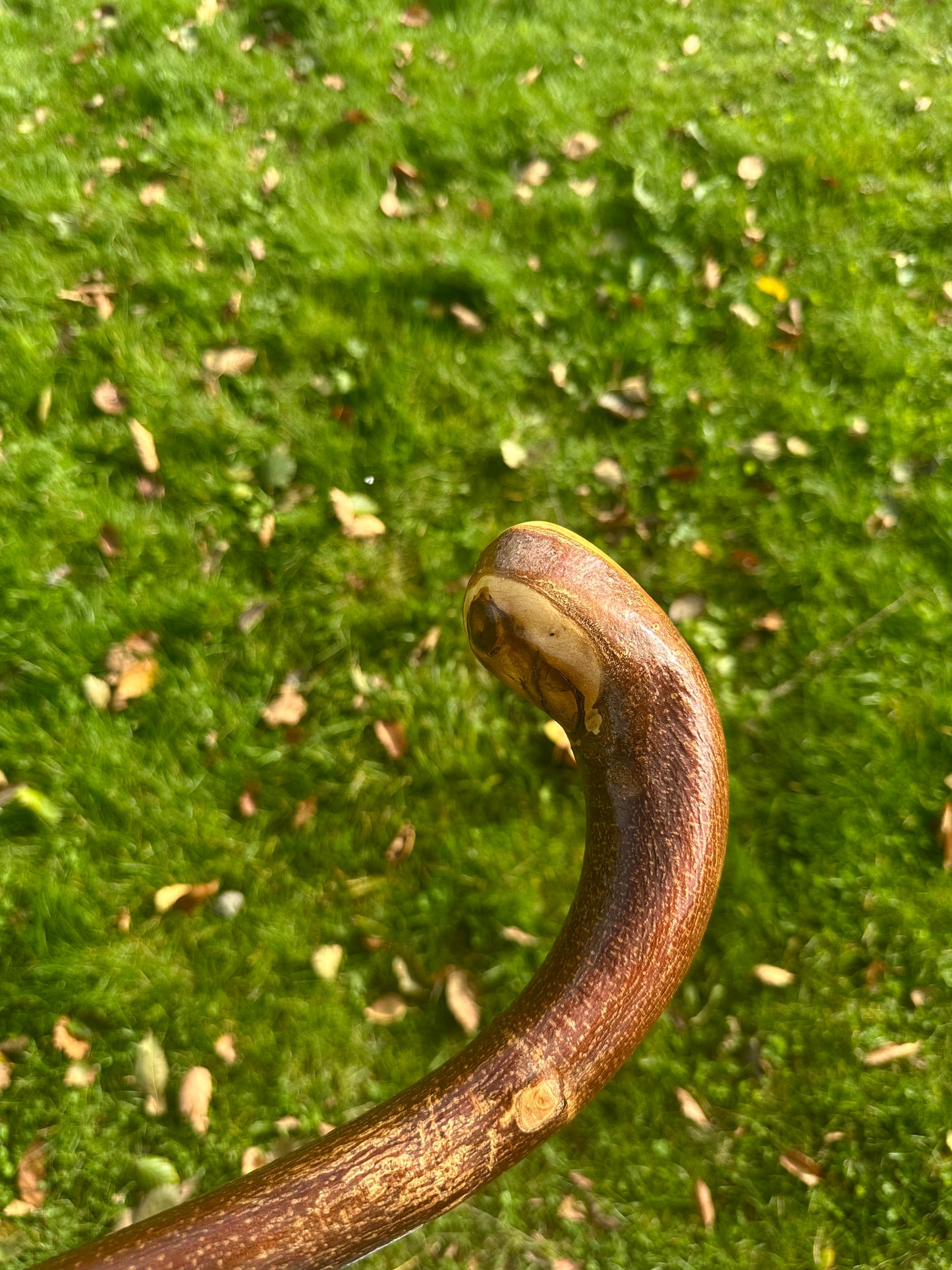 Hazel Walking Stick with L Handle - 103 cm / 40.5 inches