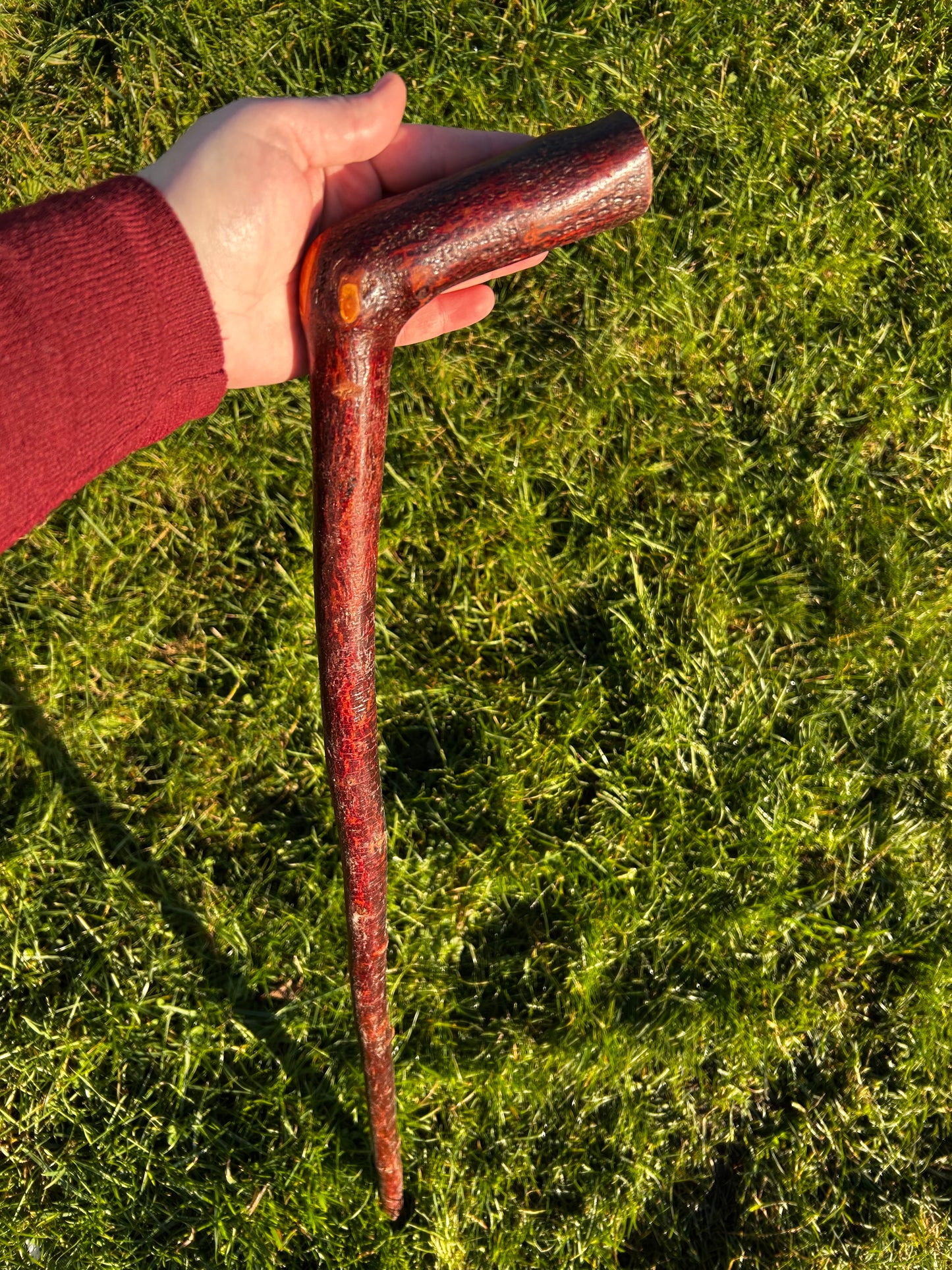 L Handle Blackthorn Walking Stick – 99 cm (39”)