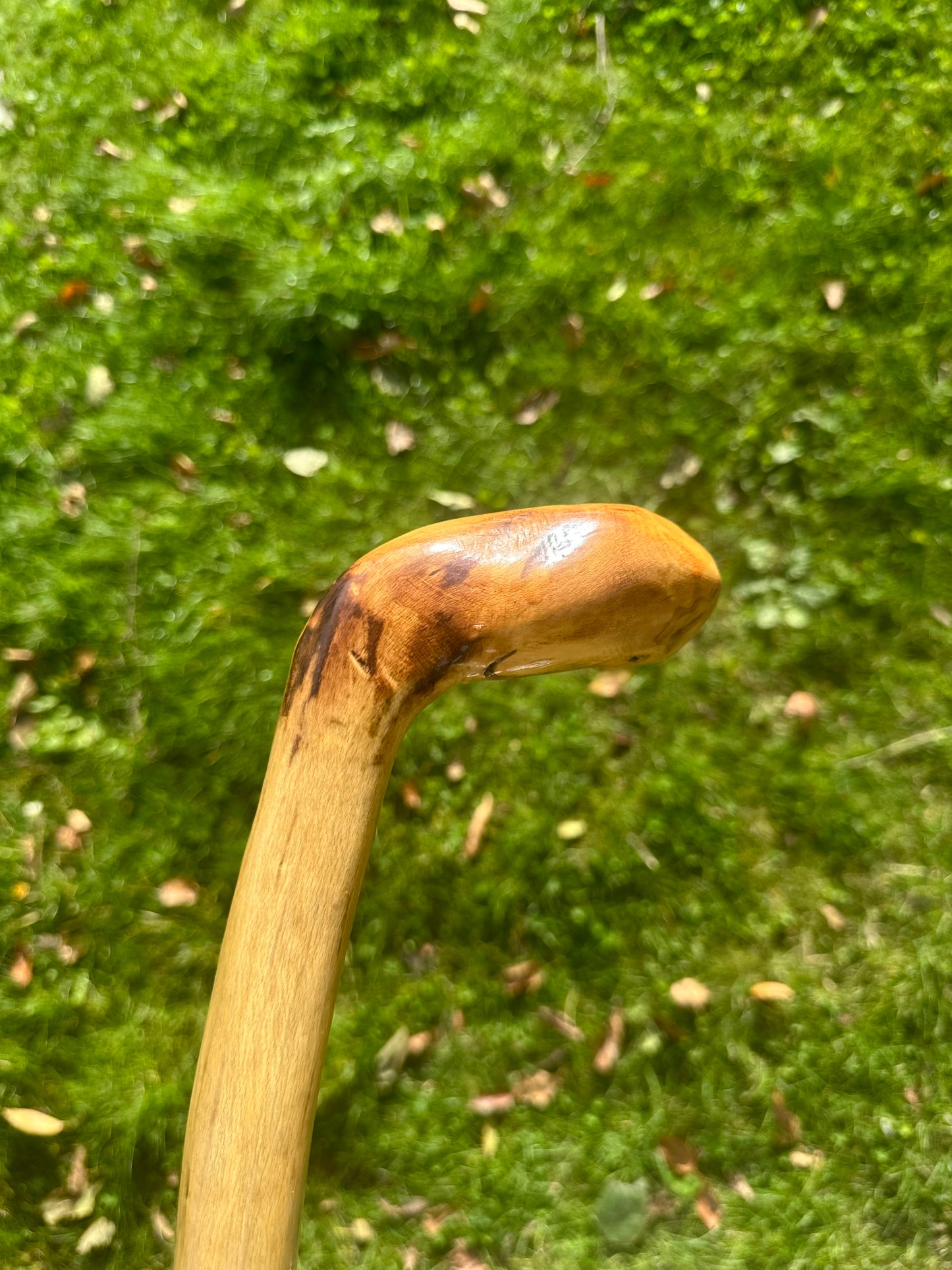 Hazel Walking Stick with L Handle - 105 cm / 41 inches