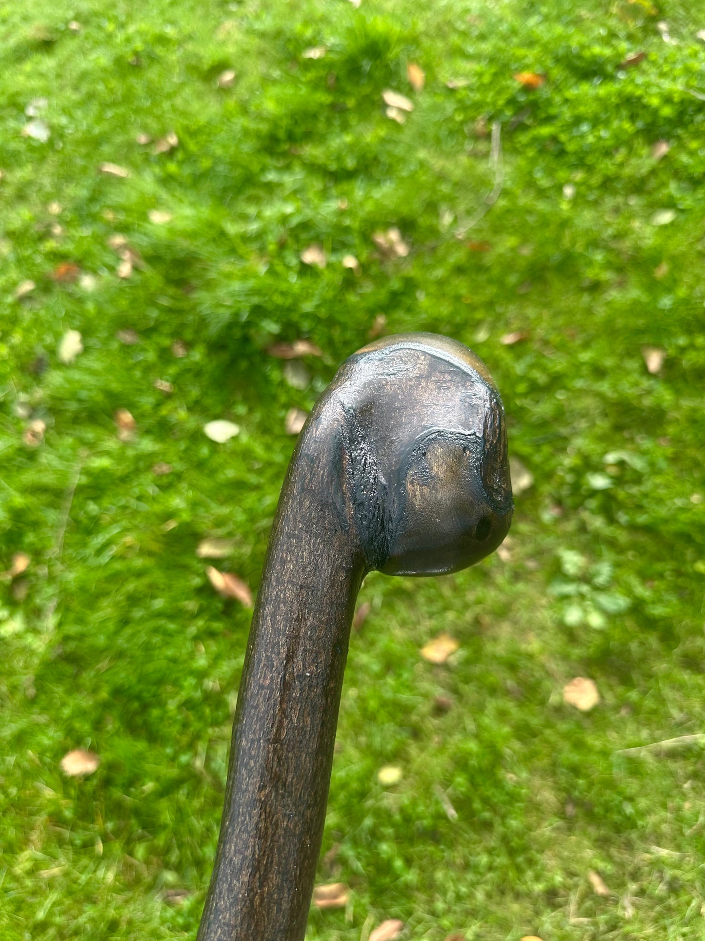 Blackthorn Walking Stick with Round Handle – Black Painted - 105 cm / 41 inches