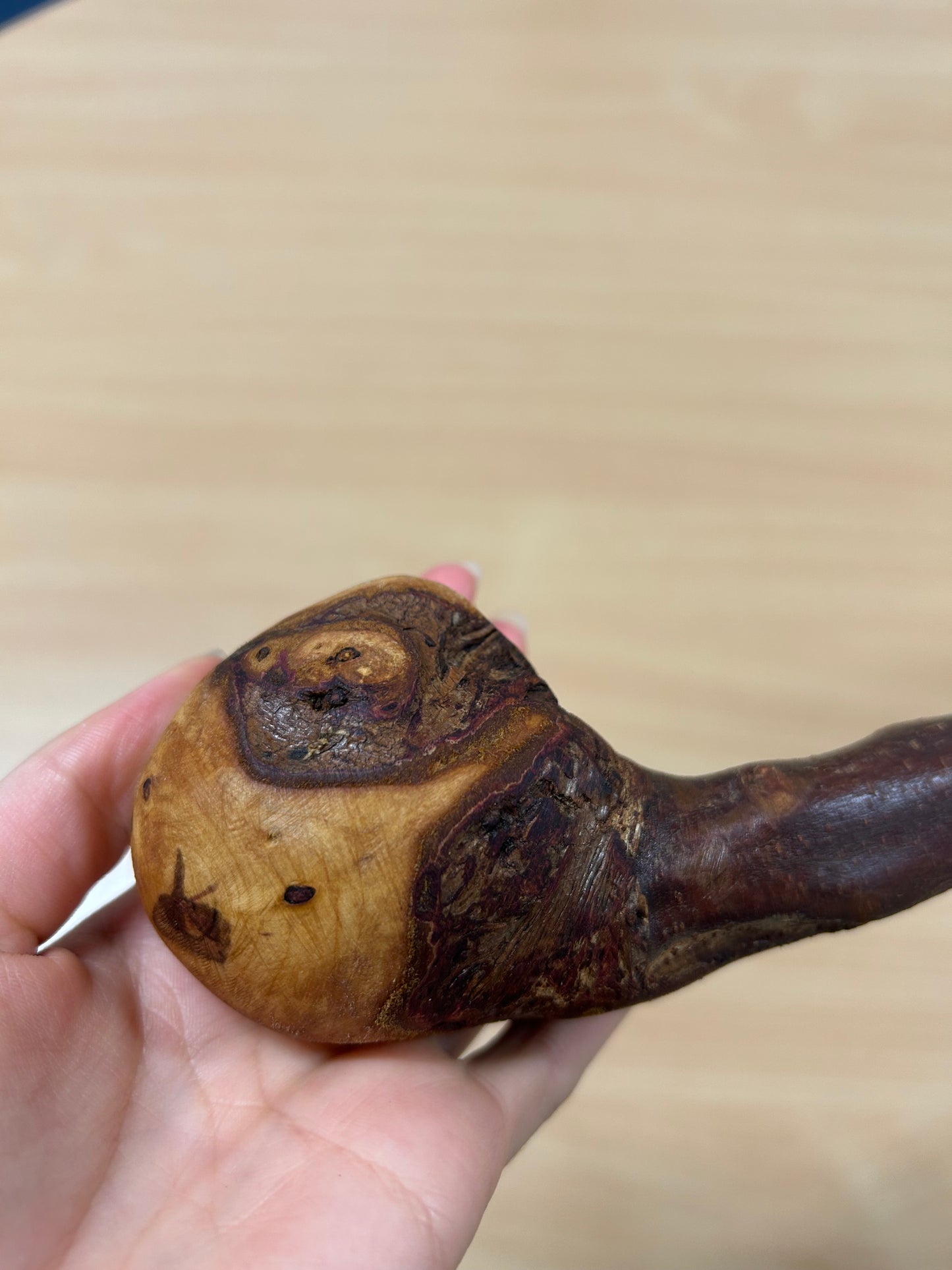 Very Thorny Blackthorn Walking Stick with Rough Head – 95cm