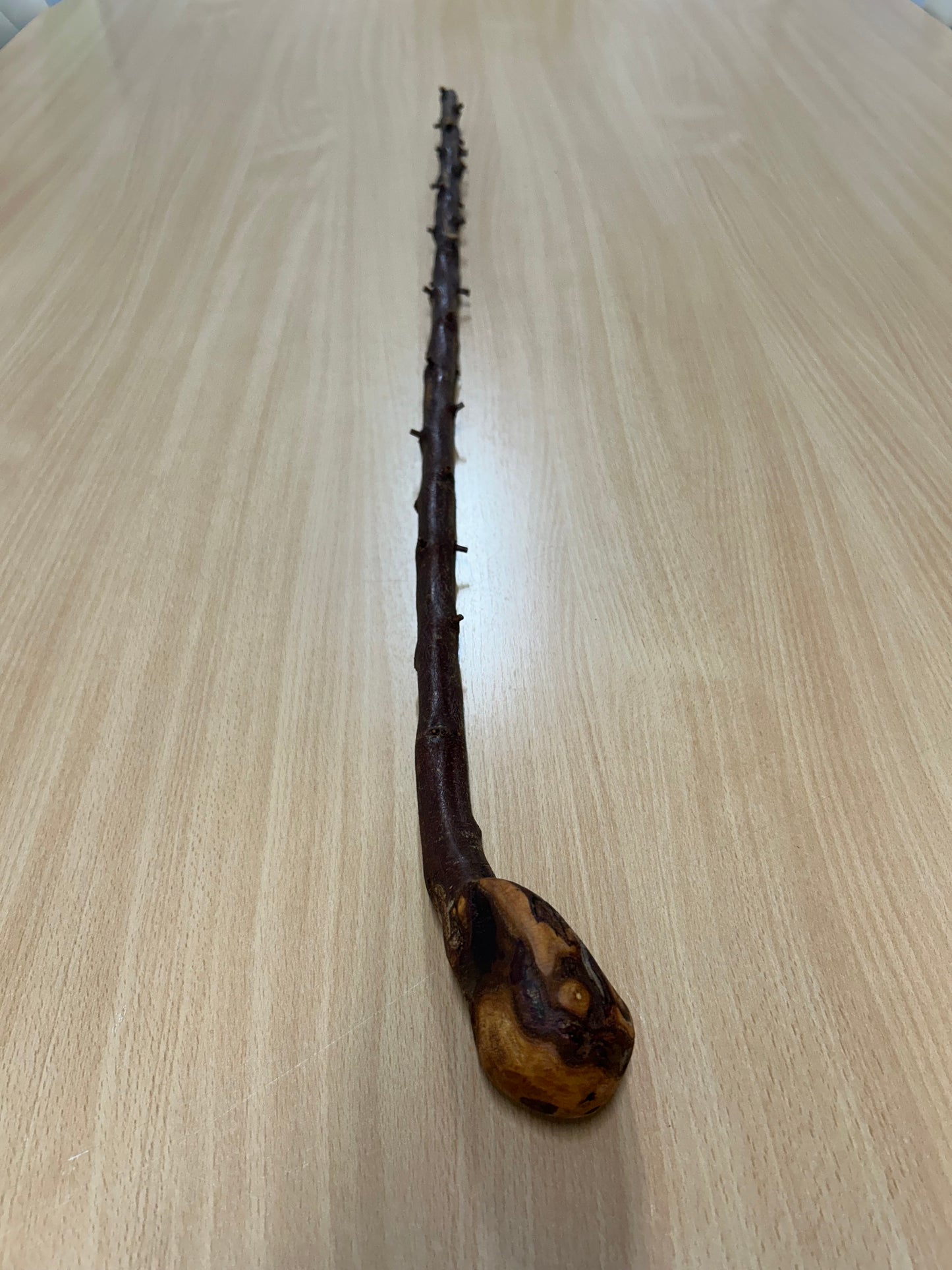 Very Thorny Blackthorn Walking Stick with Rough Head – 95cm