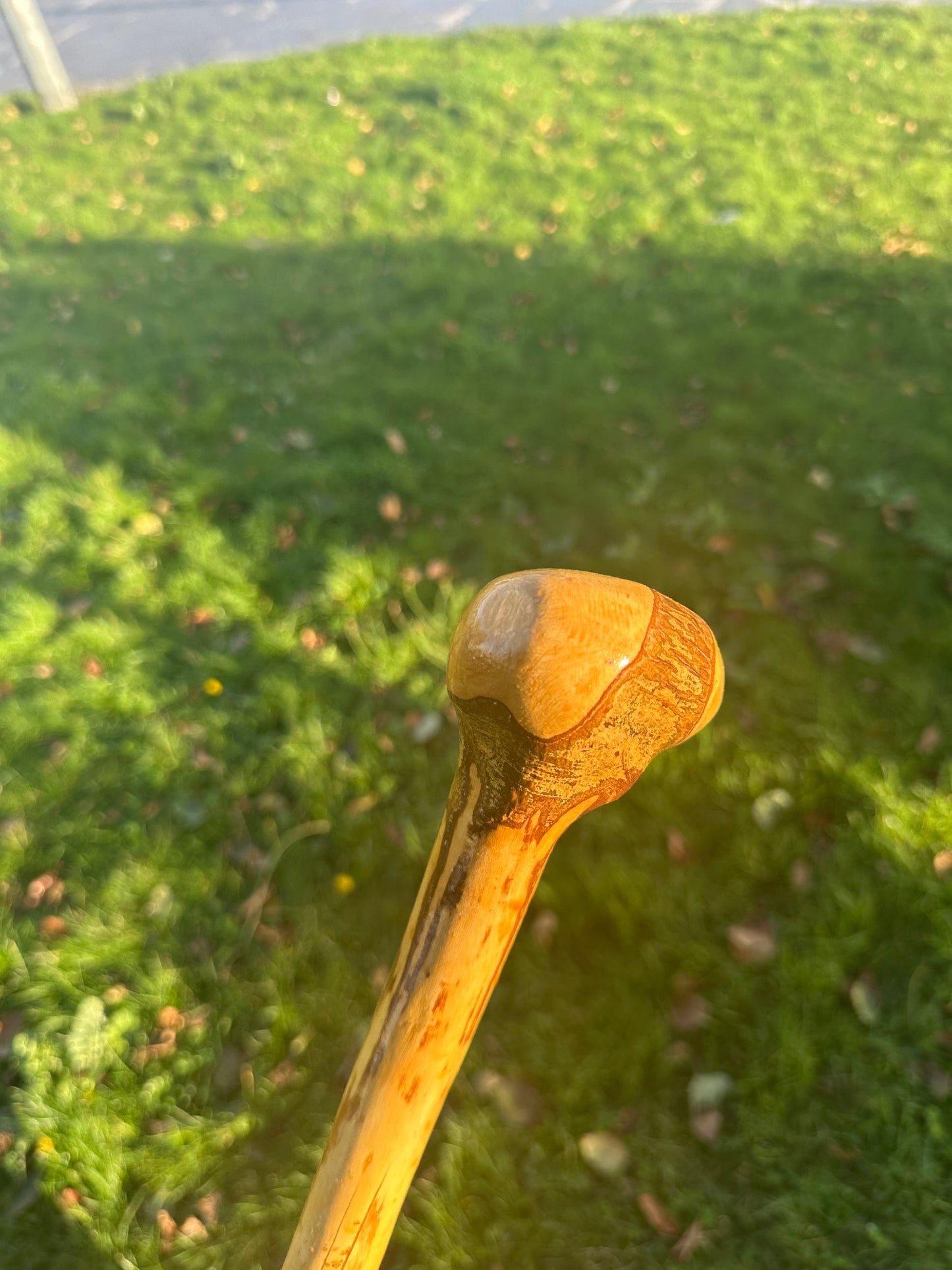 Hazel Walking Stick with Round Handle – 98cm