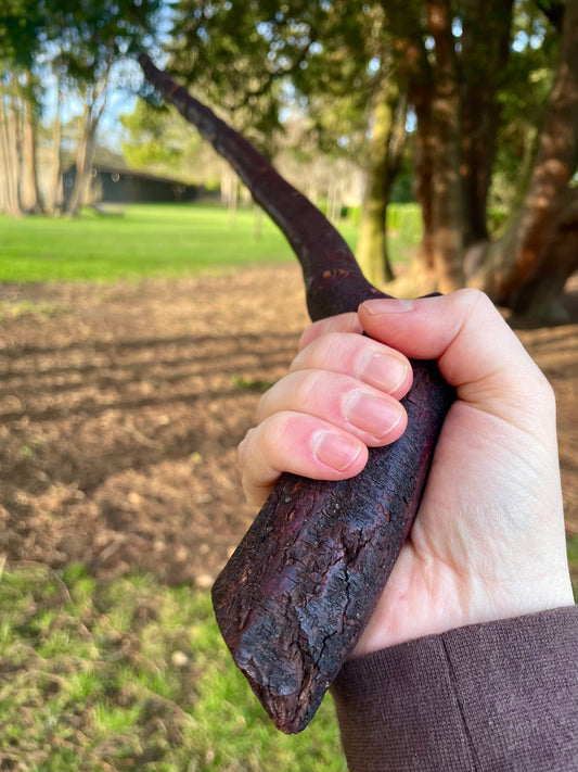 Rugged Blackthorn Stick | Irish Walking Sticks