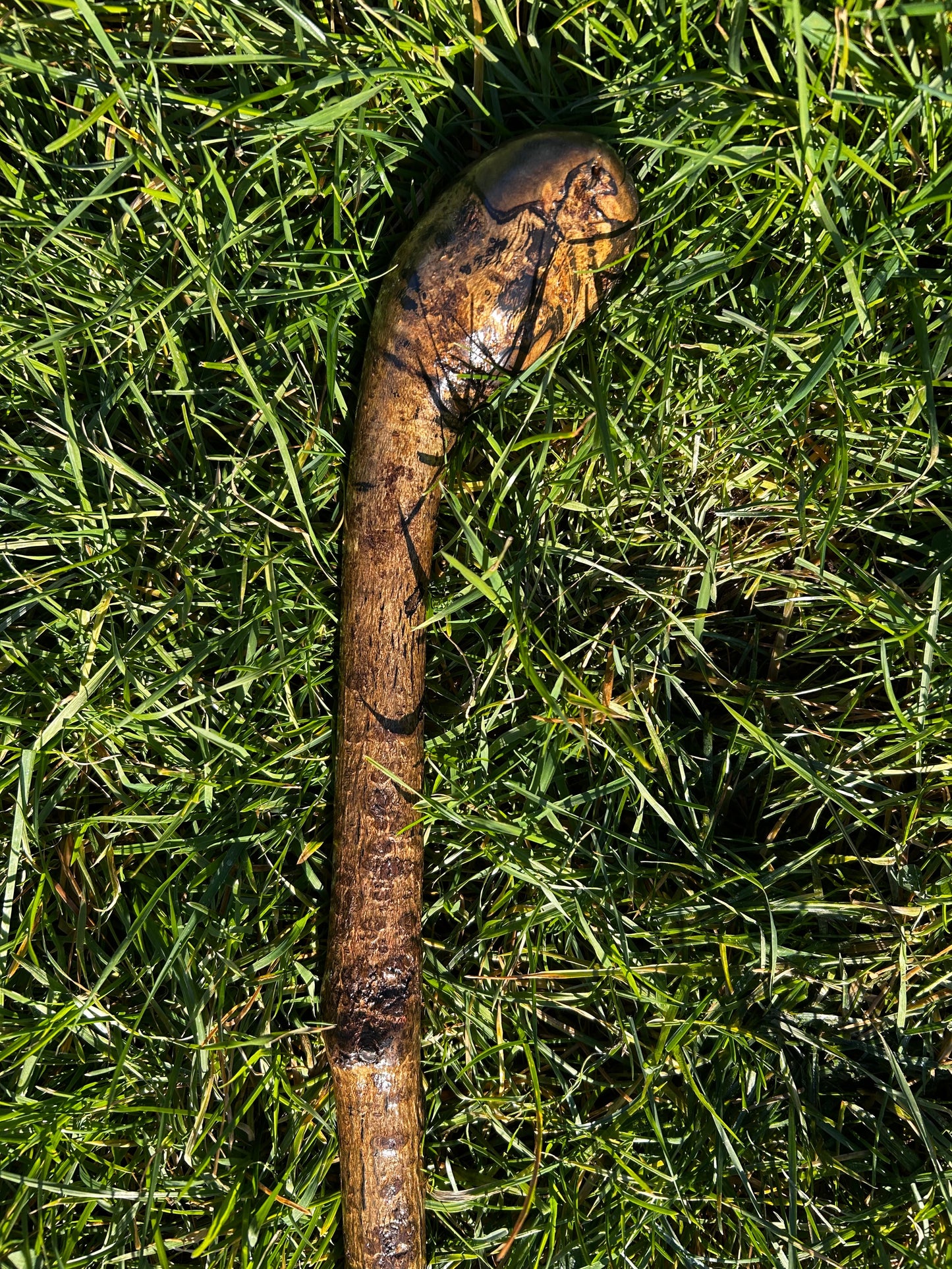 Spotted Hazel Knob Stick – 99 cm (39”)