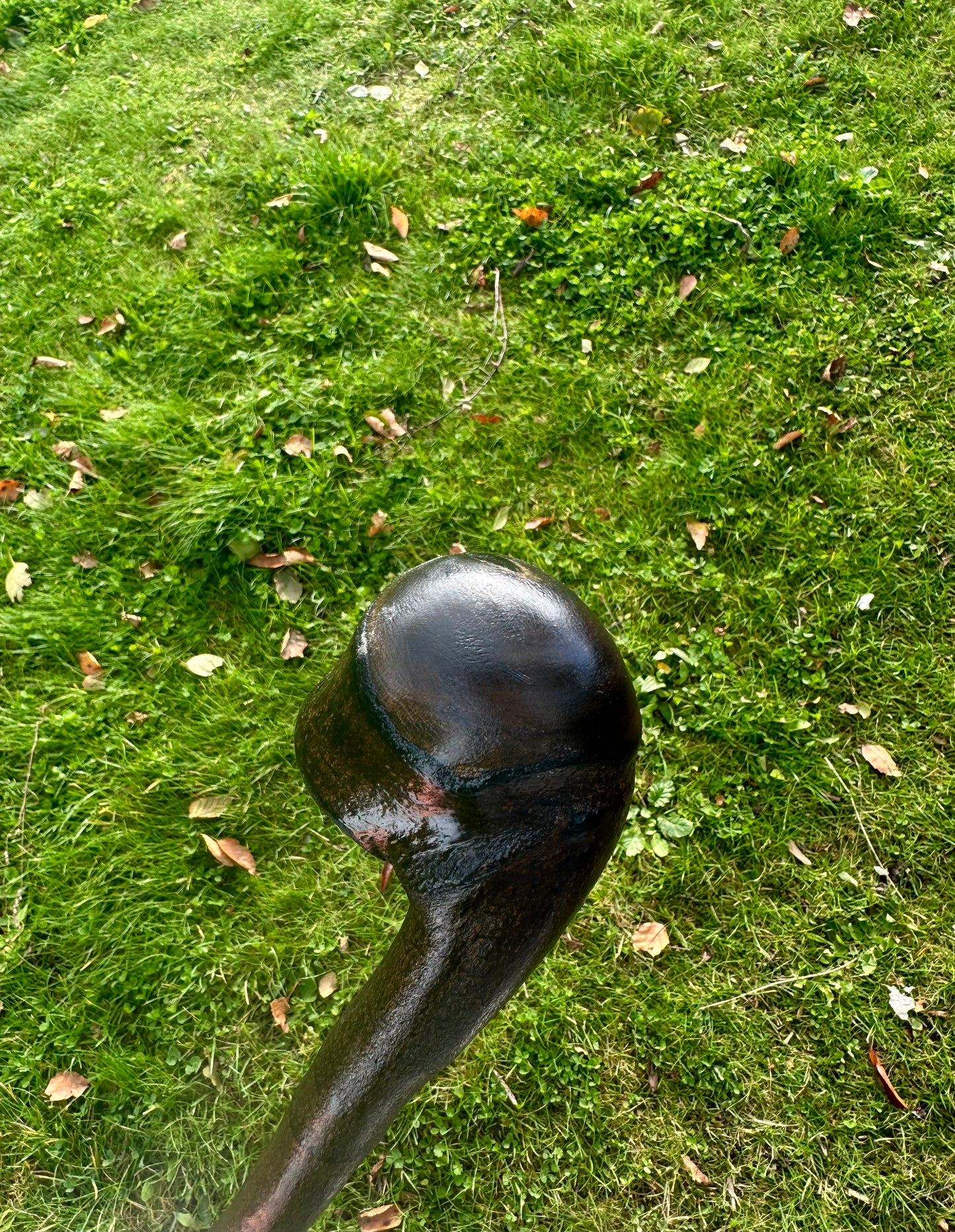 Blackthorn Walking Stick with Round Handle – Black Painted - 105 cm / 41 inches