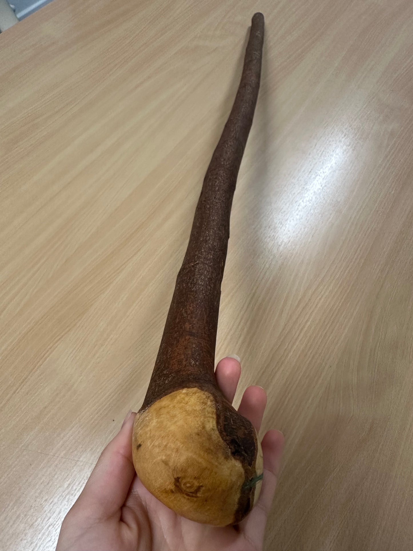 Lovely Blackthorn Walking Stick with Round Handle – 100cm