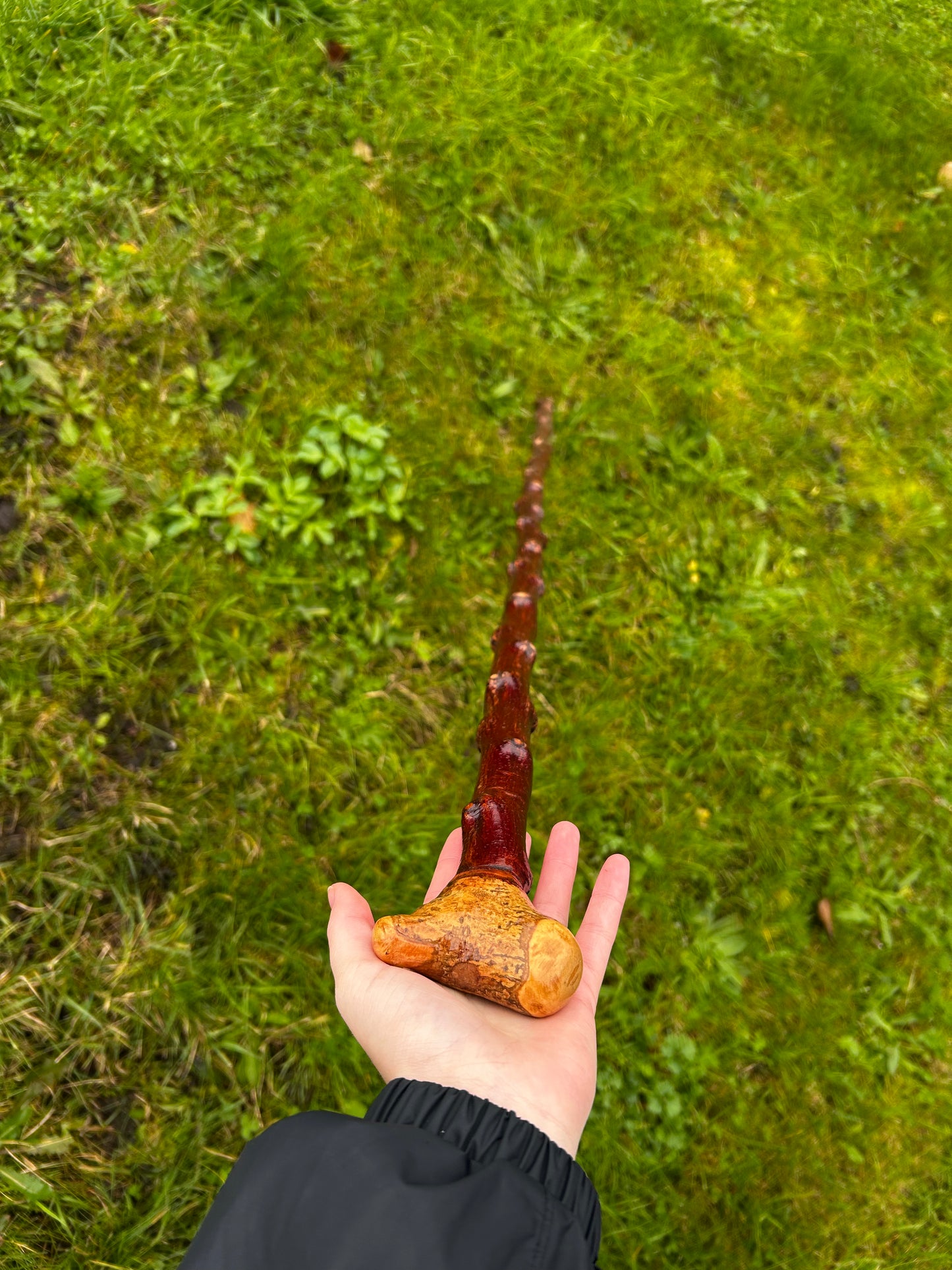 Bumpy Blackthorn Walking Stick with Knob Head – 116 cm (45.6”)