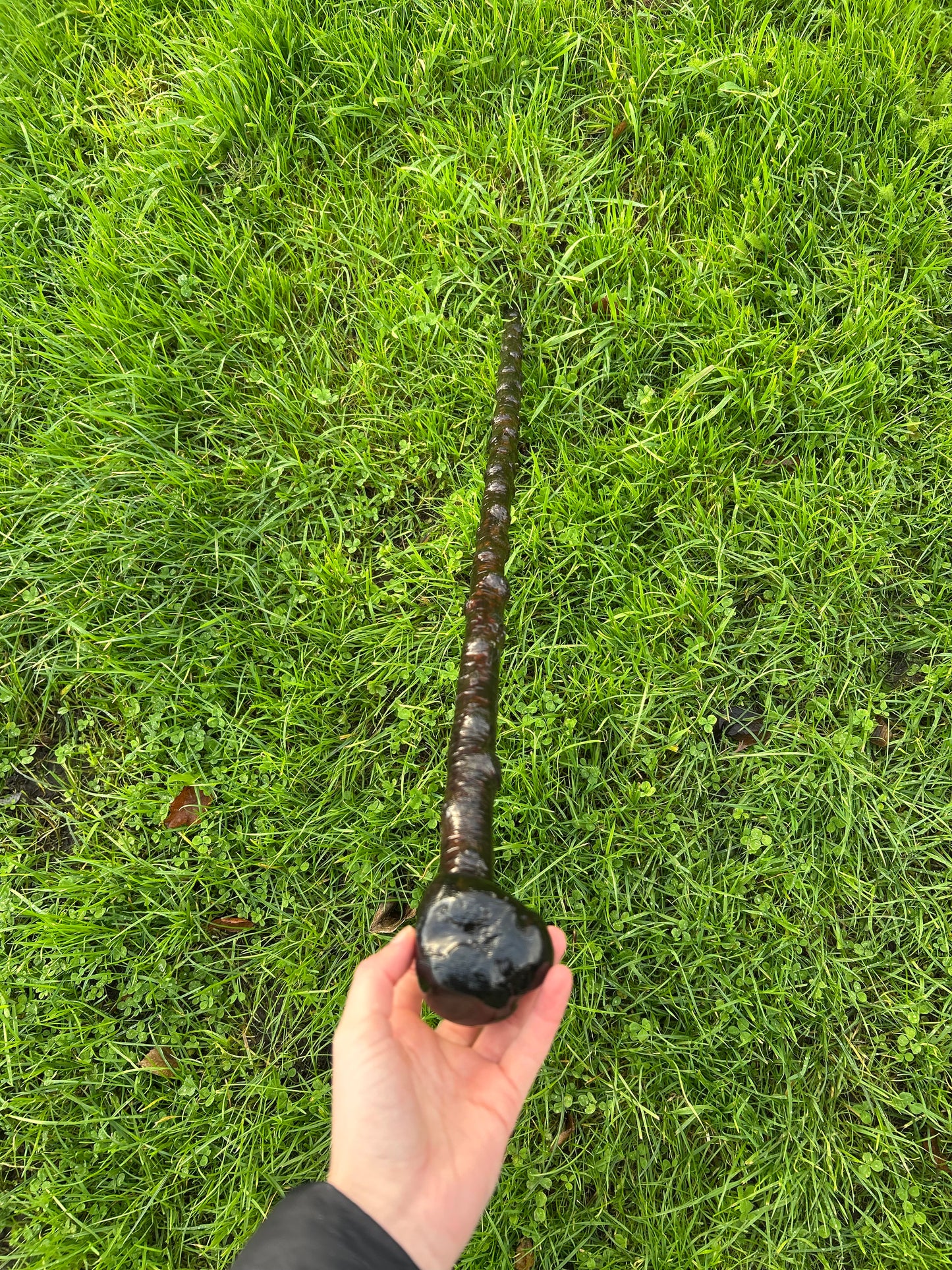 Black-Painted Blackthorn Walking Stick with Smooth Round Handle – 100 cm (39.4”)