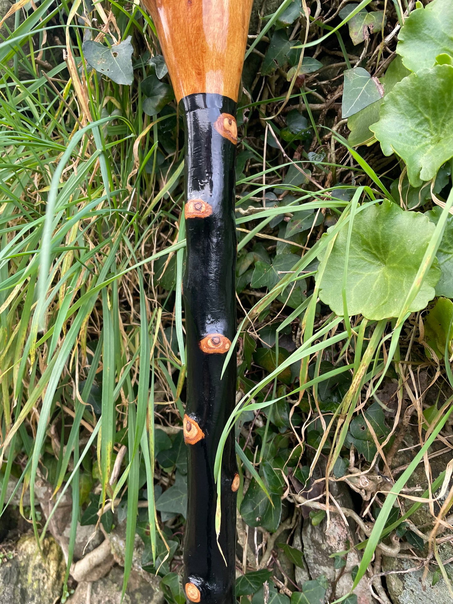 Luxury Blackthorn walking stick with Bulb head