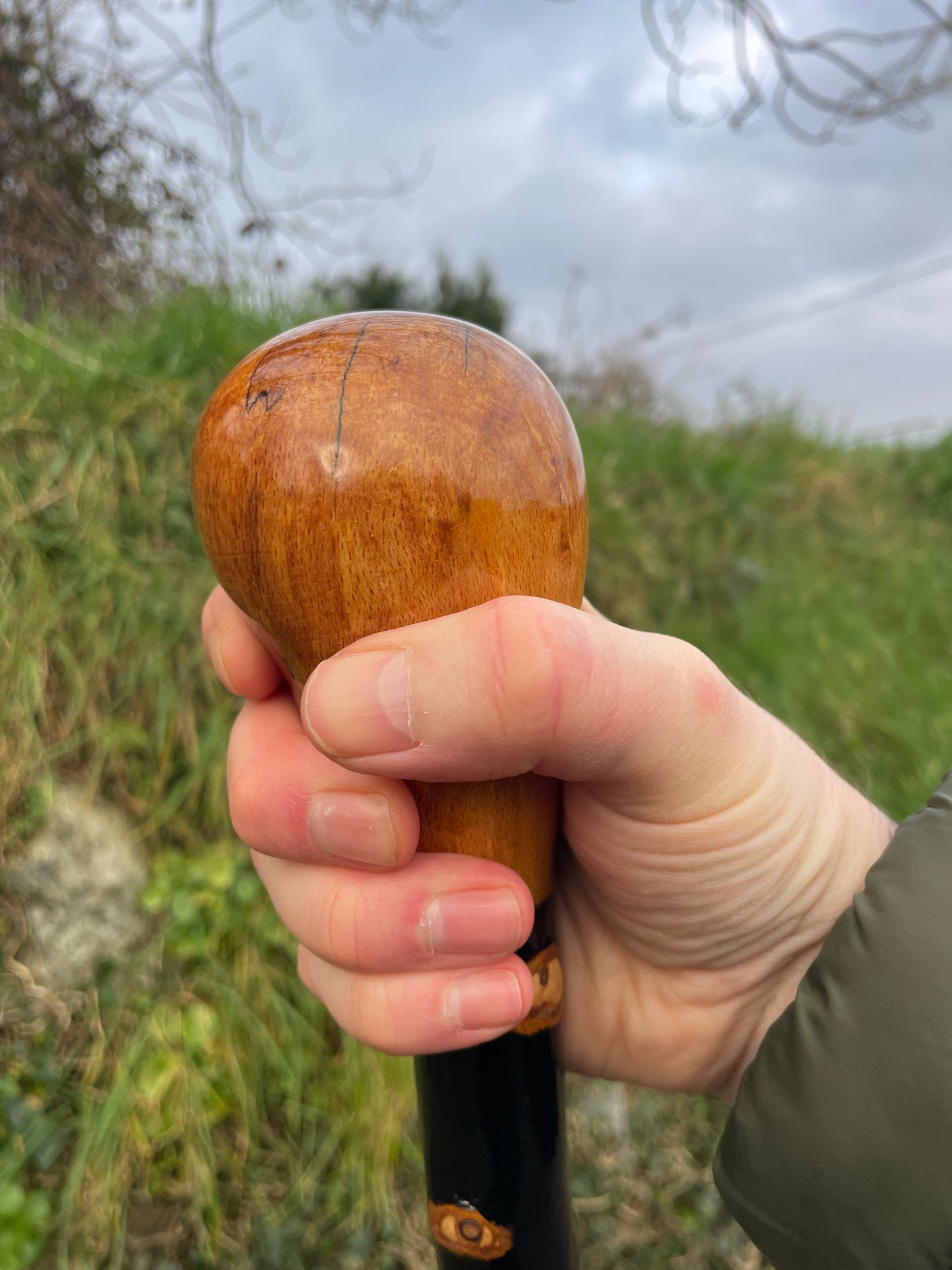Luxury Blackthorn walking stick with Bulb head