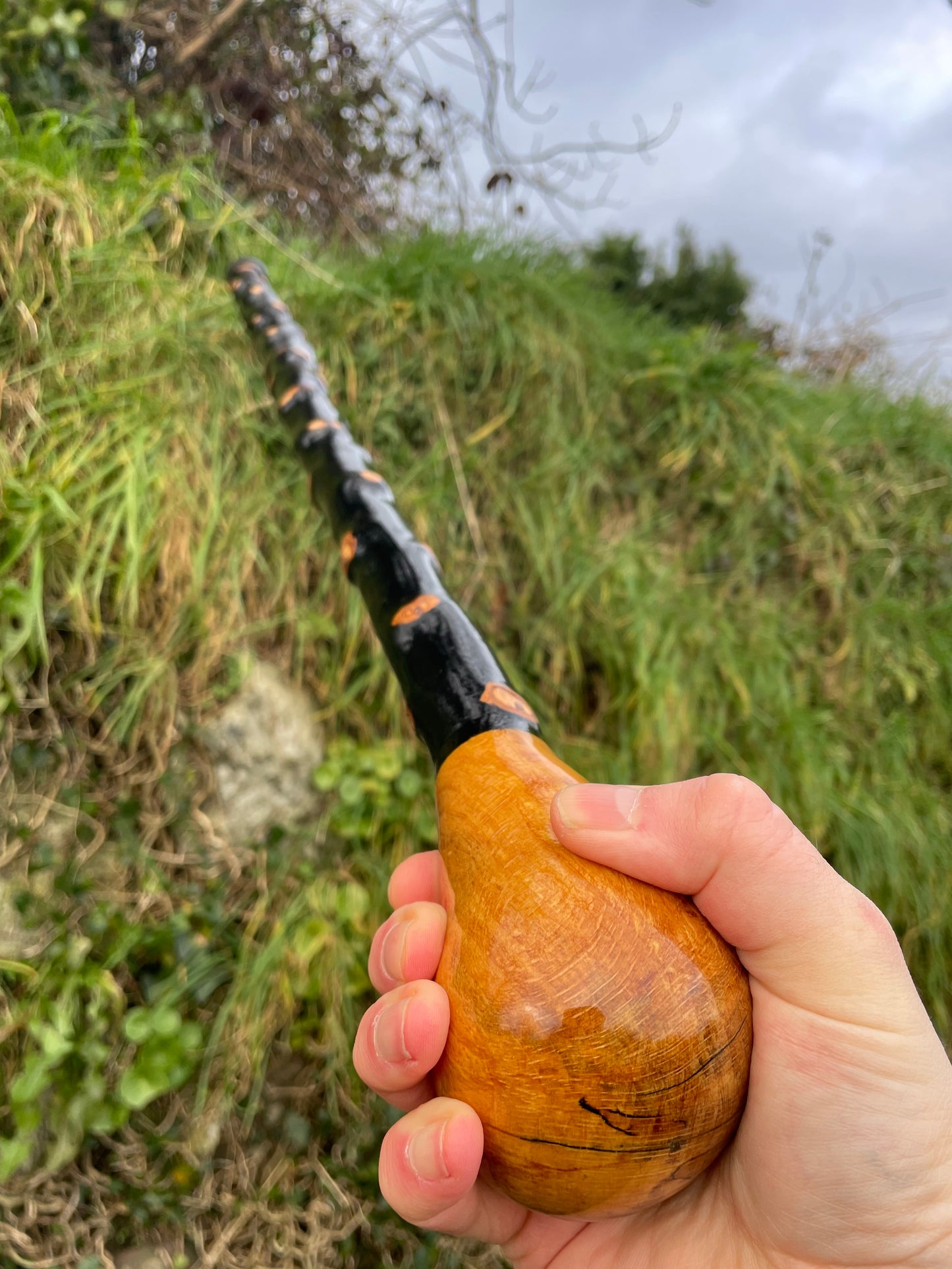 Luxury Blackthorn walking stick with Bulb head