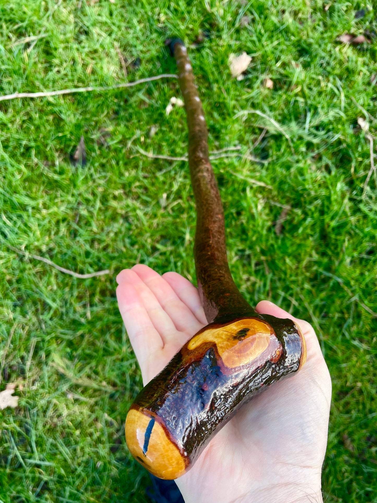 Curved Blackthorn #3 | Irish Walking Sticks