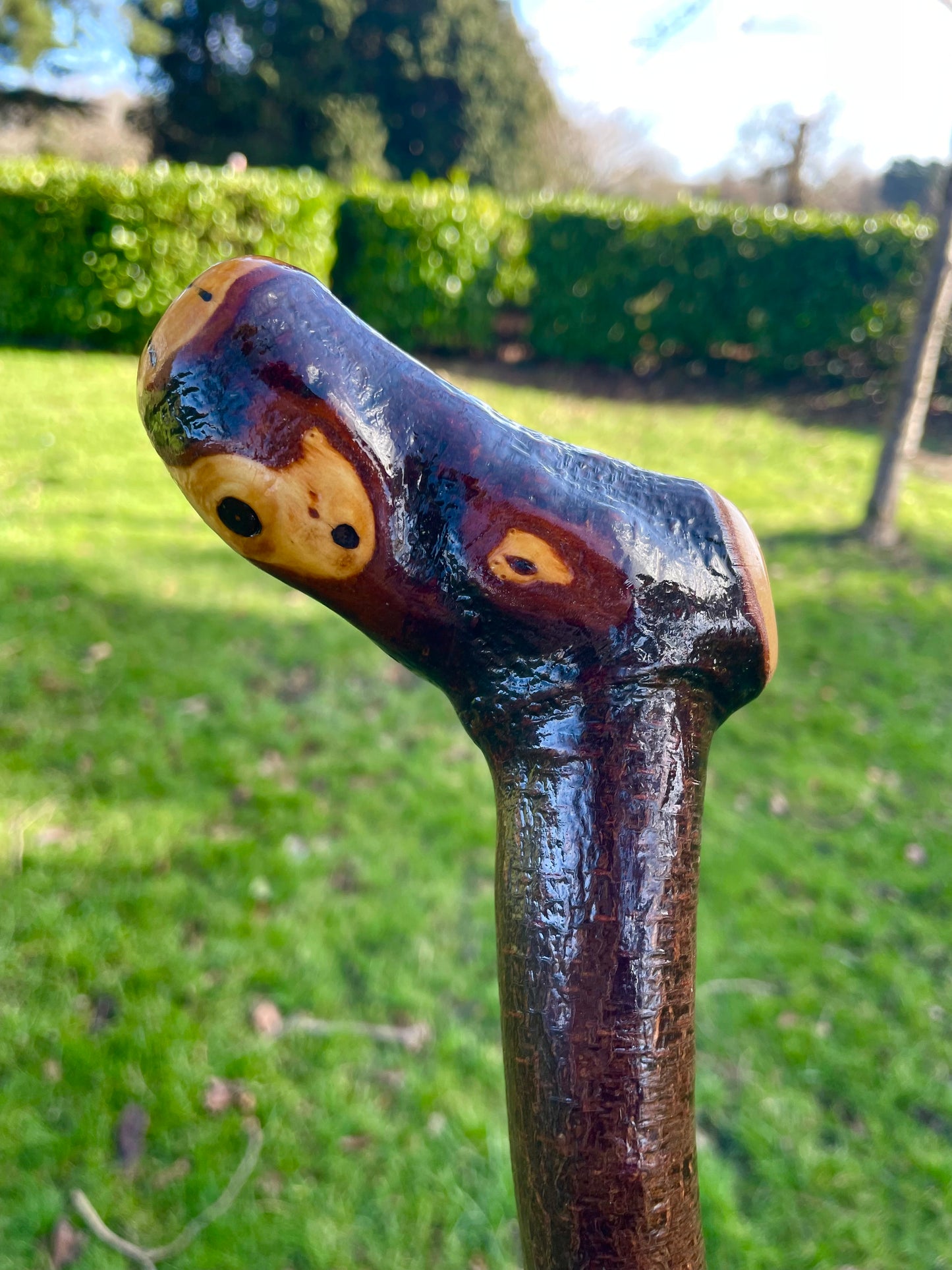 Curved Blackthorn #3 | Irish Walking Sticks