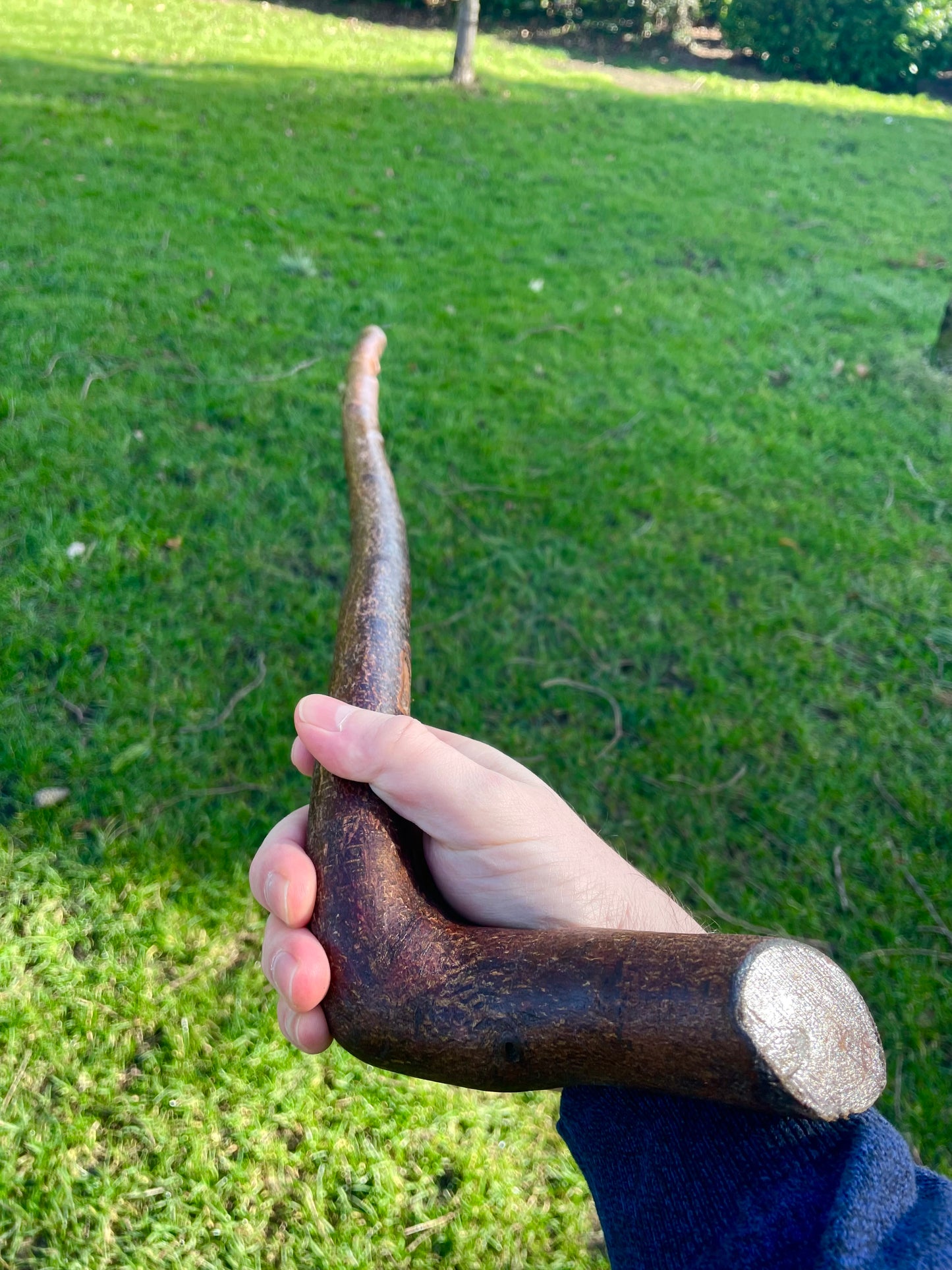 Blackthorn walking stick with curved handle