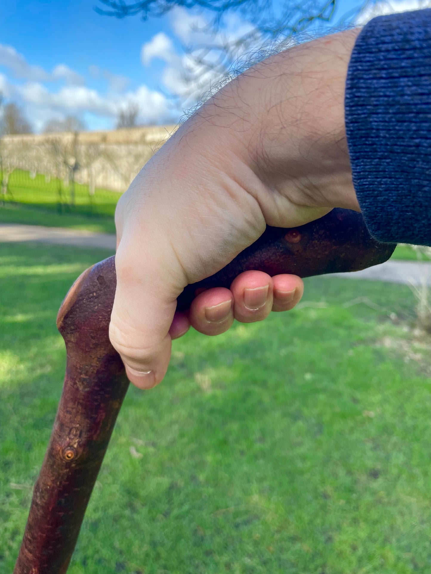 Blackthorn walking stick with curved handle