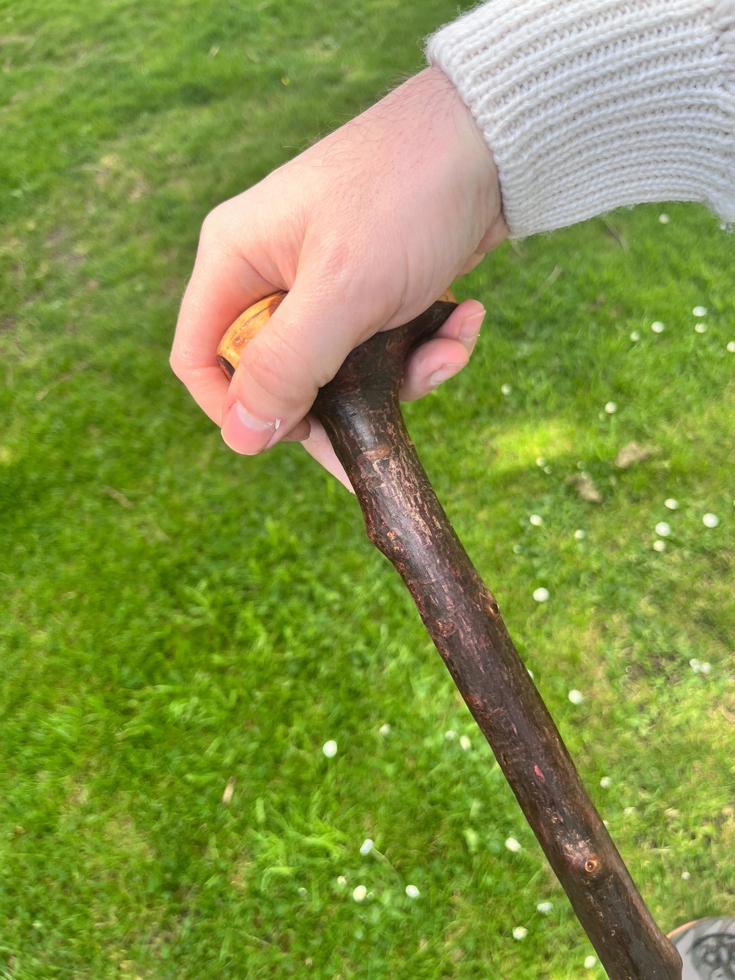Knob Blackthorn Stick | Irish Walking Sticks