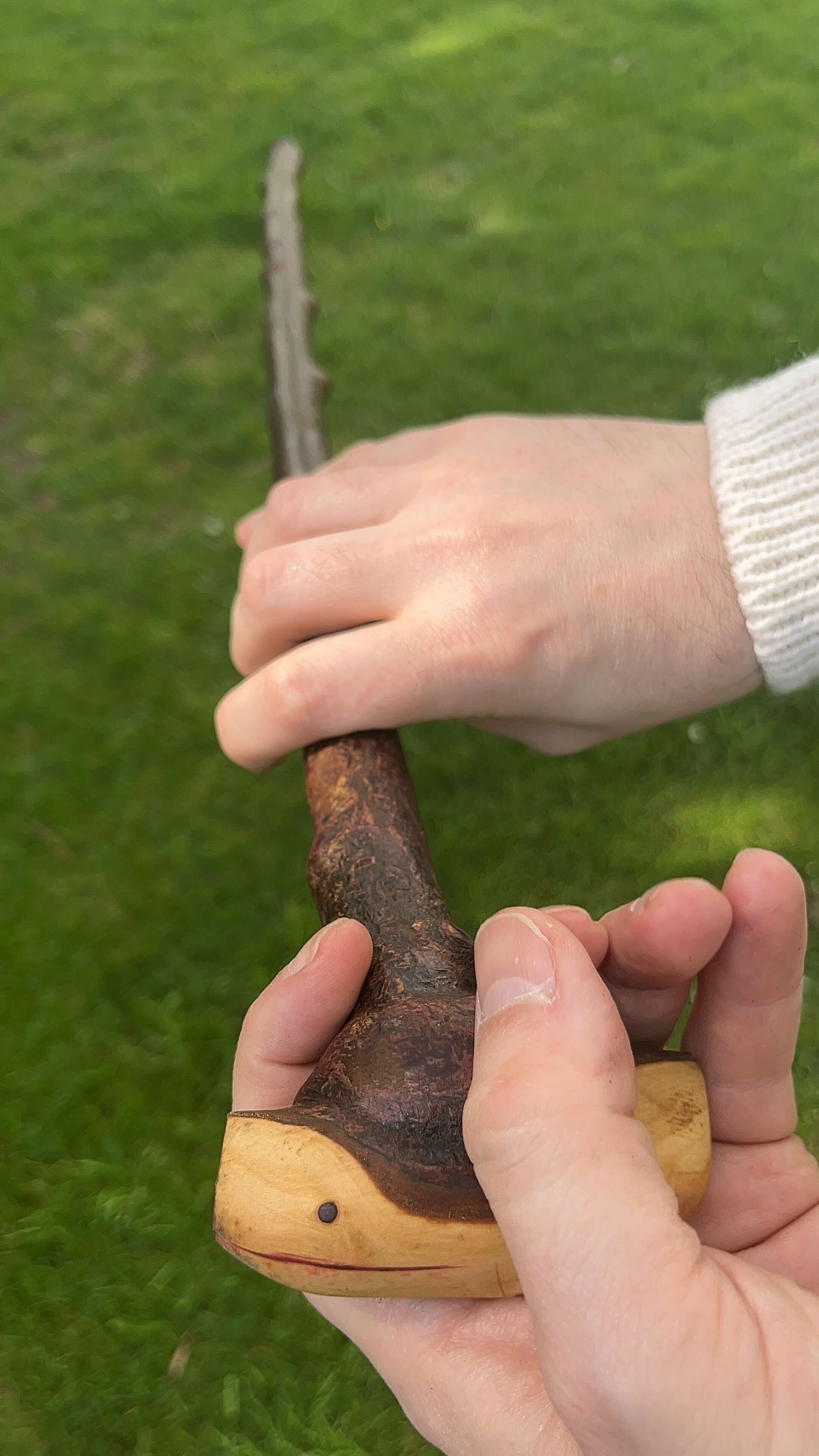 Knob Blackthorn Stick | Irish Walking Sticks