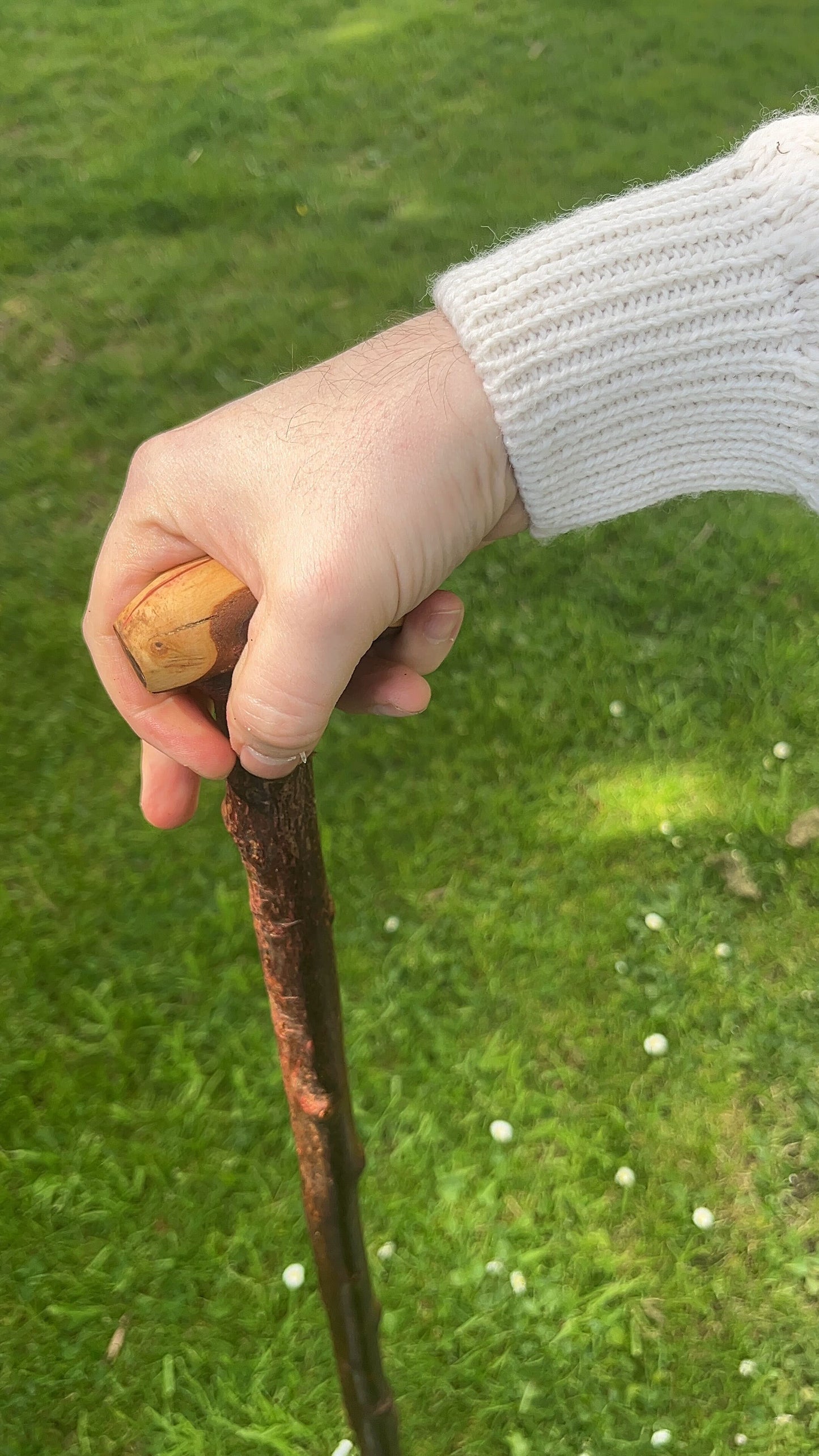 Knob Blackthorn Stick | Irish Walking Sticks