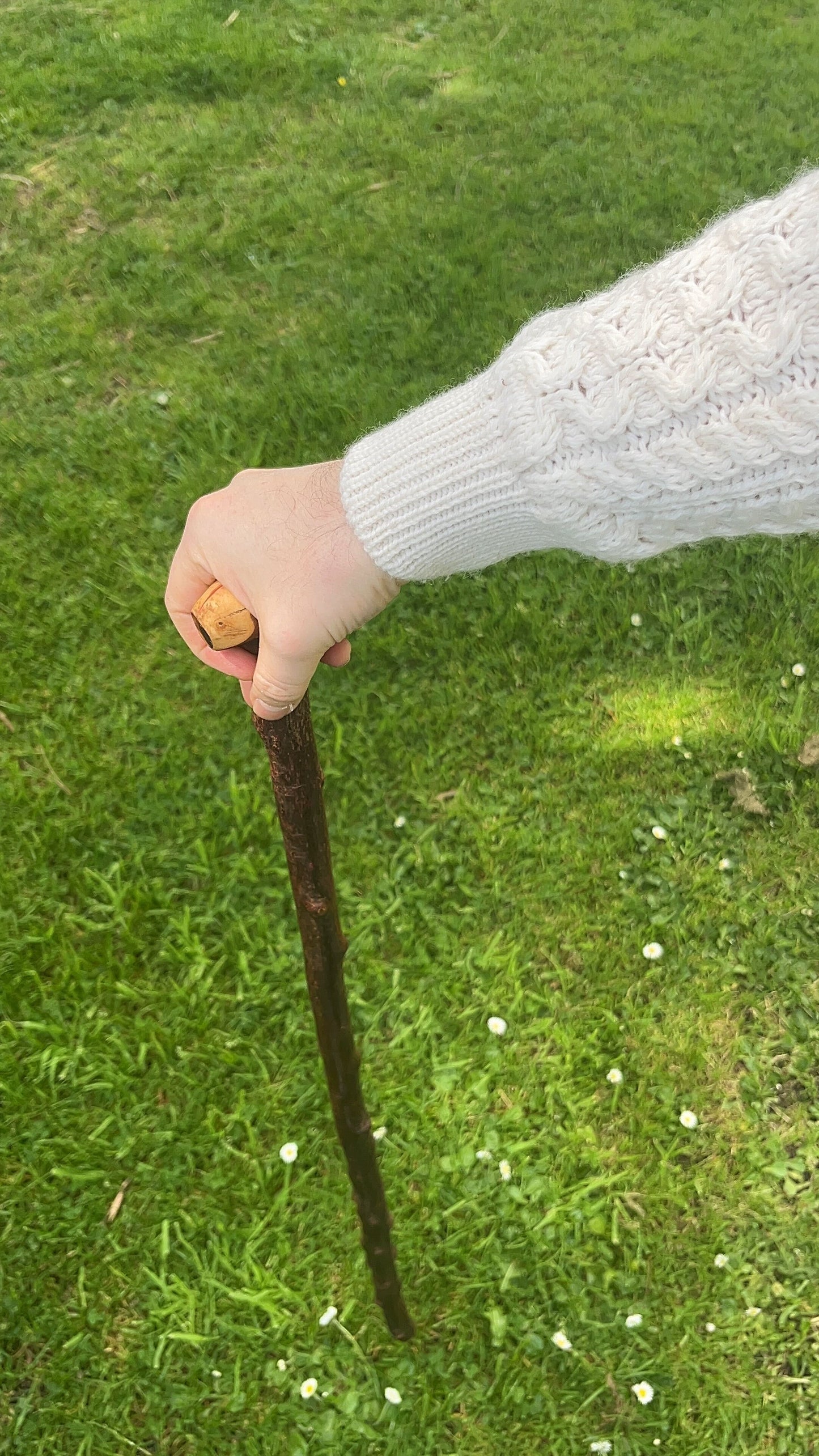 Knob Blackthorn Stick | Irish Walking Sticks