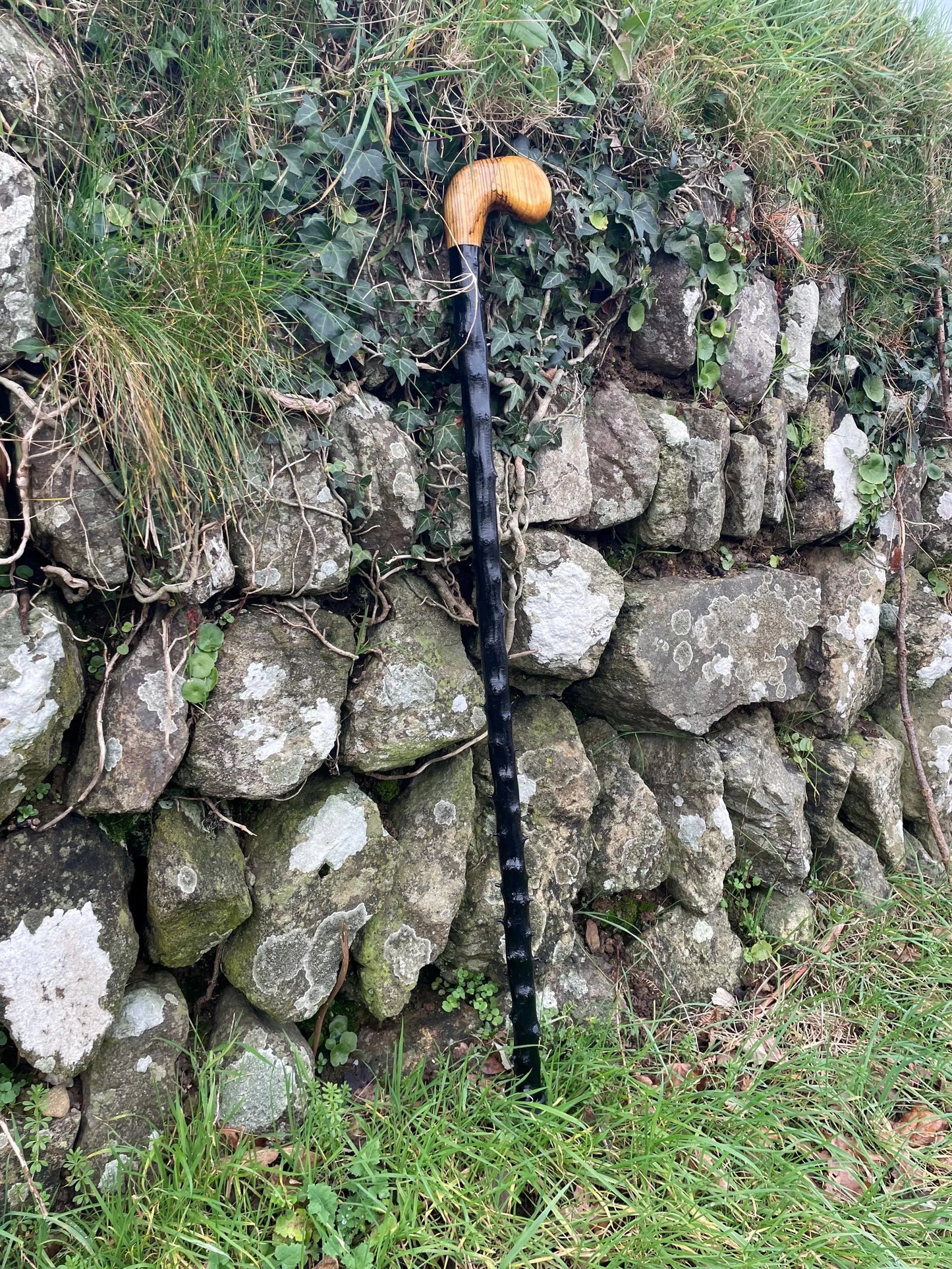 Luxury Blackthorn walking stick with Handle